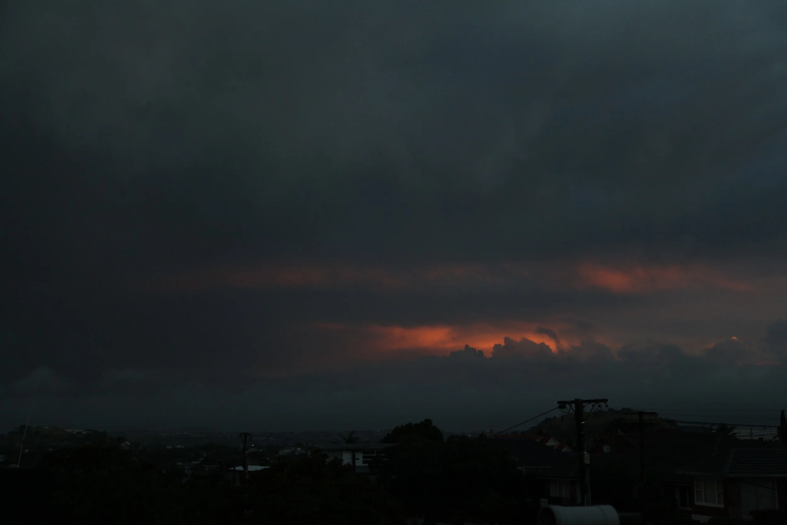 IMG_7564.jpeg