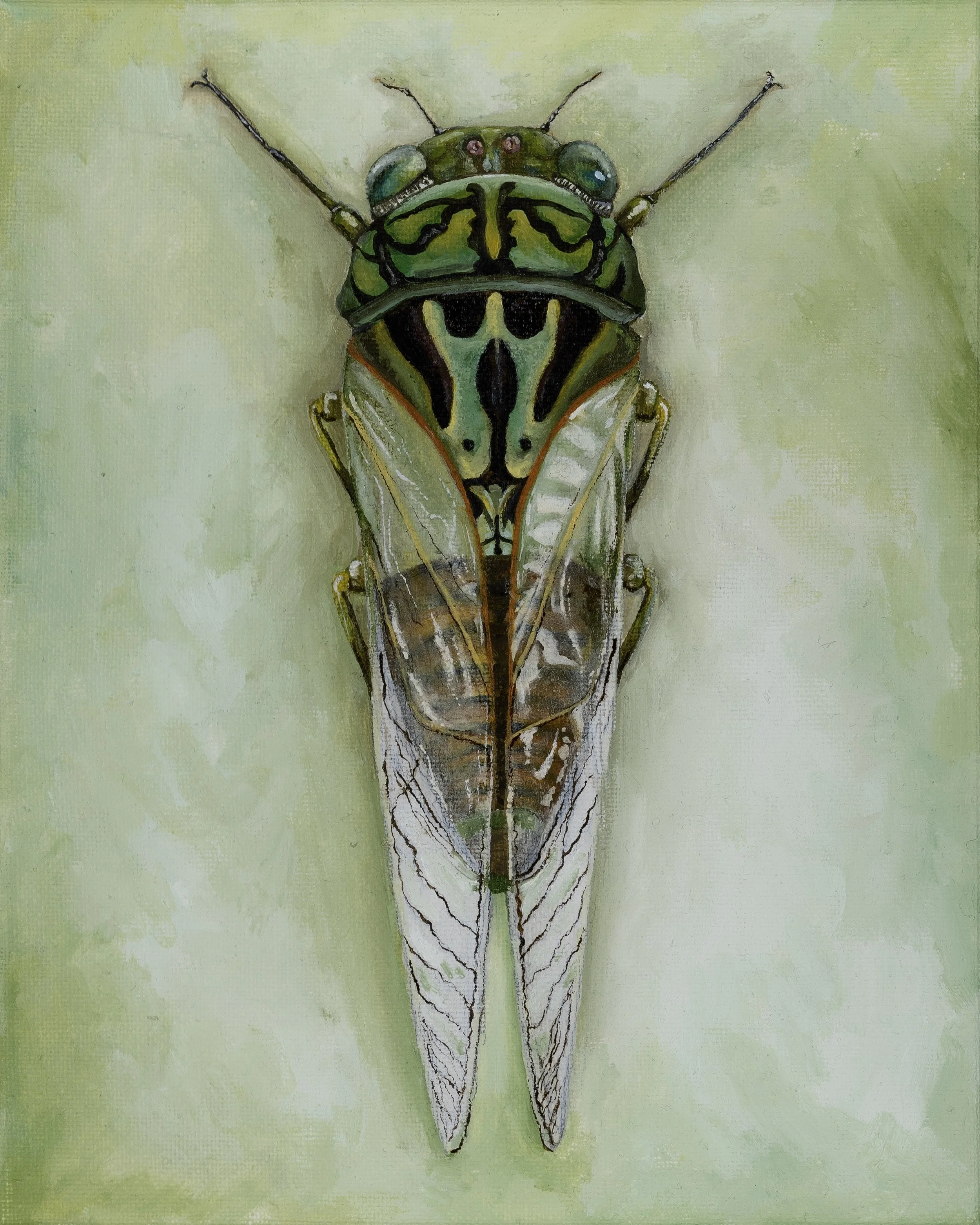 Cicada Season, Oil on Canvas, 2025