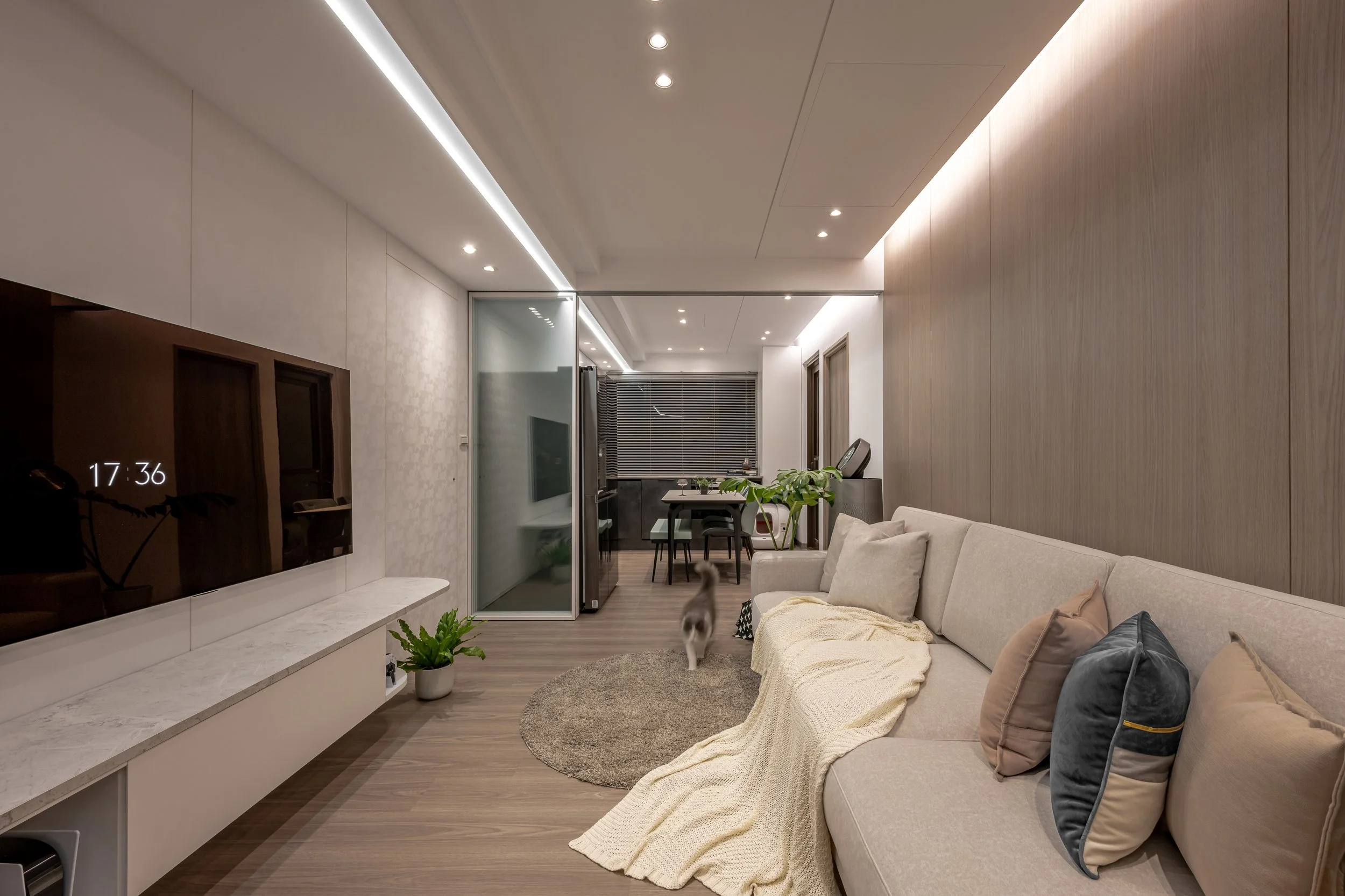 Modern living room with a beige sofa, colorful pillows, cream blanket, and a cat walking on a small round rug. There is a wall-mounted flat-screen TV, a potted plant, and a dining area with chairs and a table in the background. The room features wood