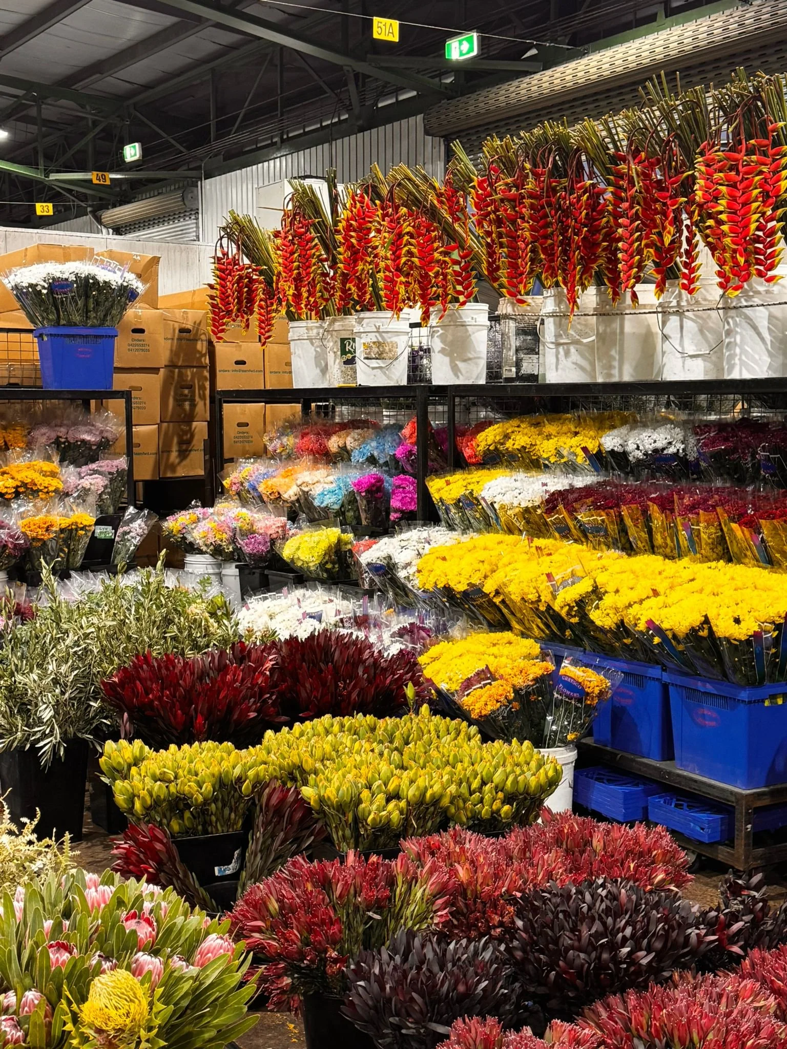 PHOTO-2026-02-13-10-08-07 2.jpg