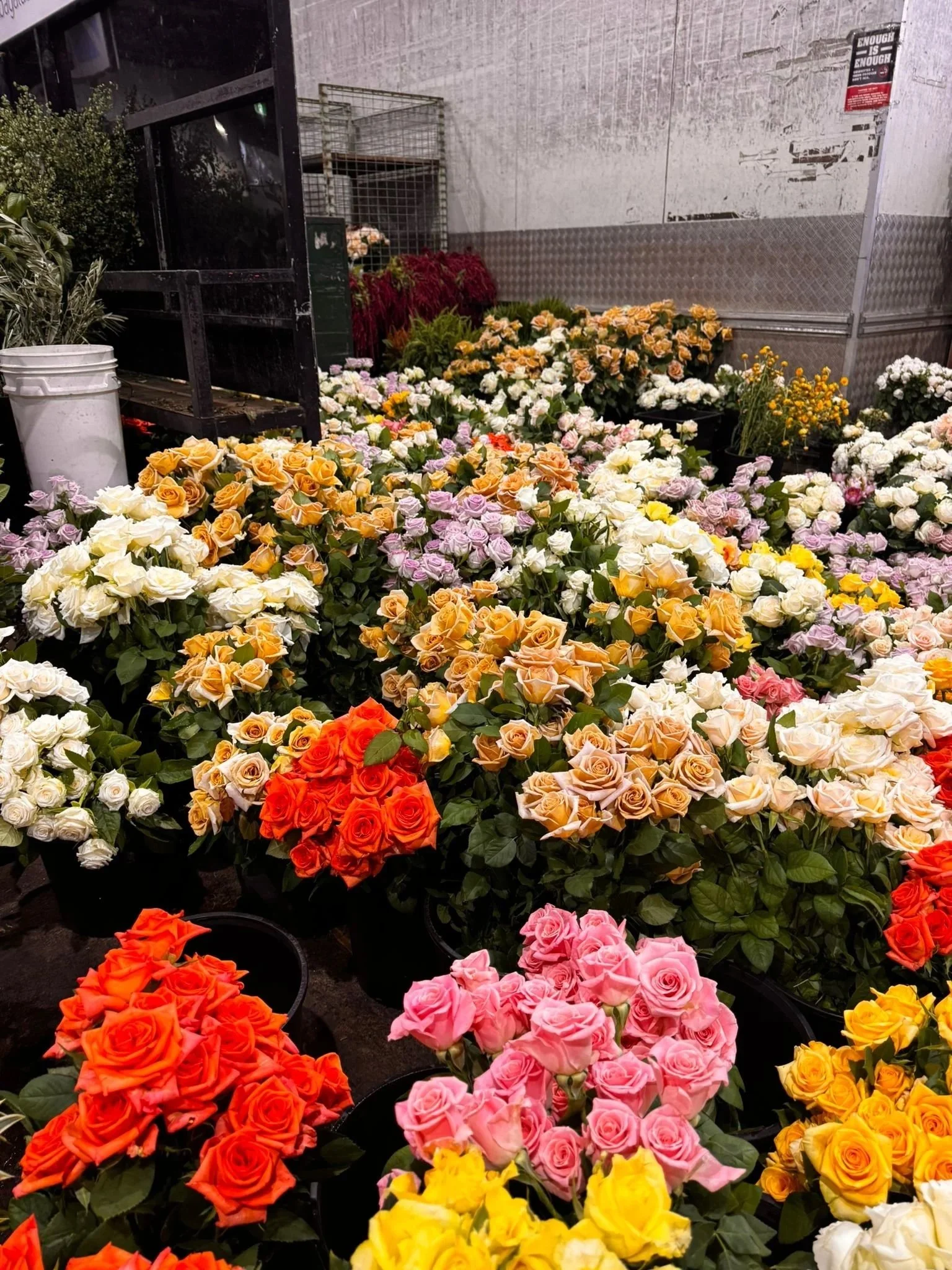 2026 Valentine’s Day Trading