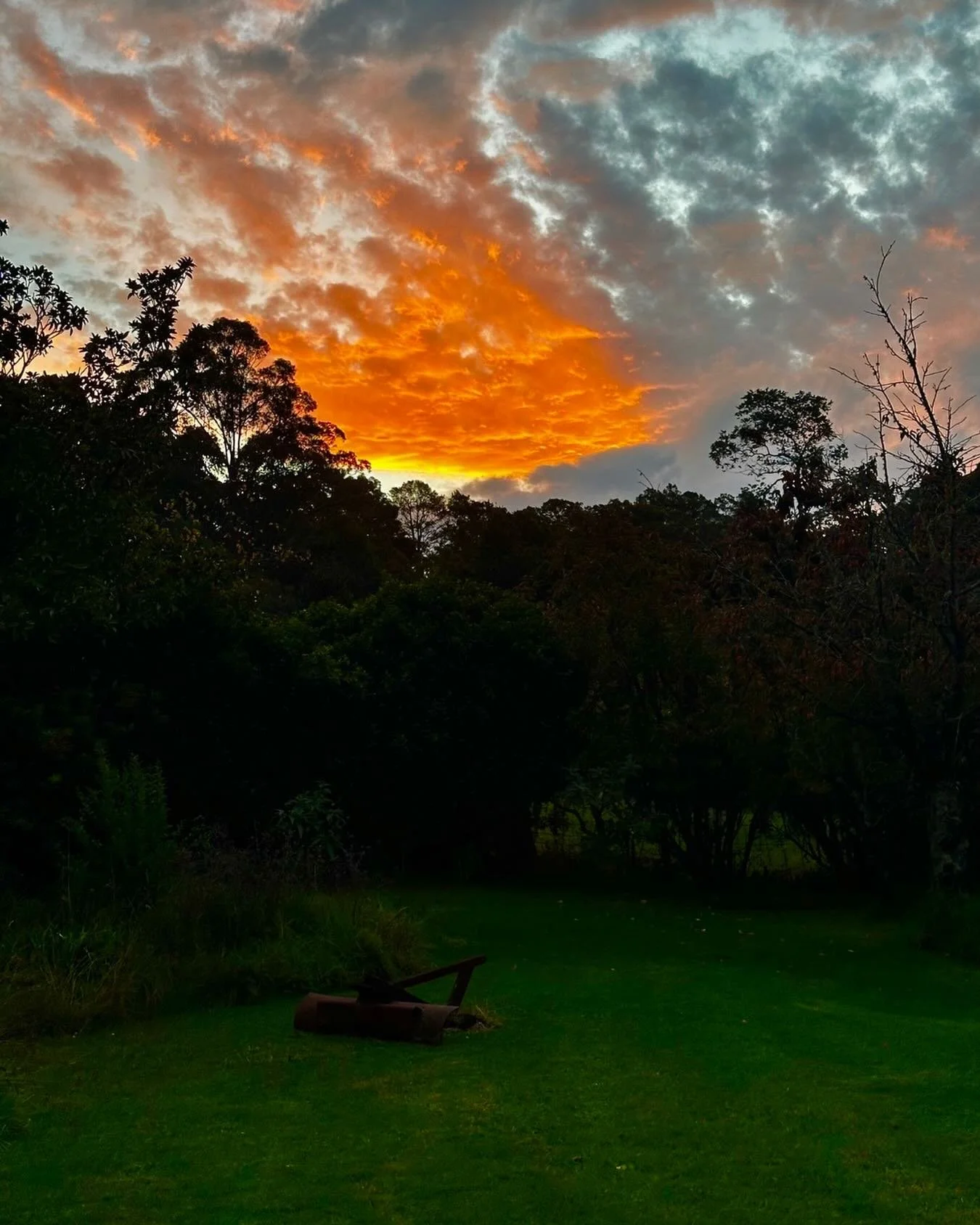 Autumn in the mountains at Bilpin. Absolutely brilliant this year