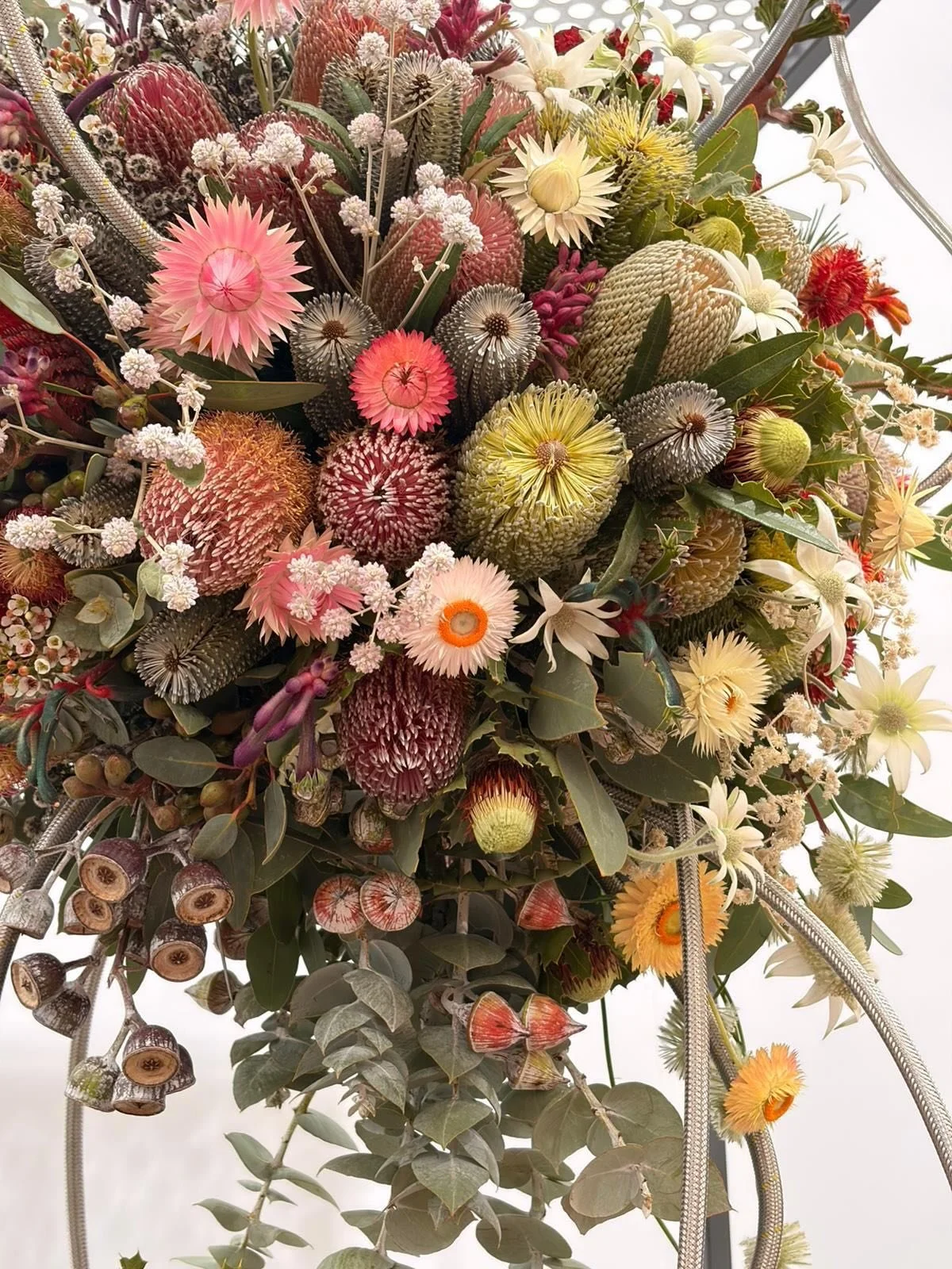 Well done Dawn and team @peninsulawildflower_ on your magnificent Australian floral display at the @the_rhs 2026 Chelsea Flower Show. 

Using many gorgeous Australian native flowers and foliages sent over from Australia, @peninsulawildflower_ designe