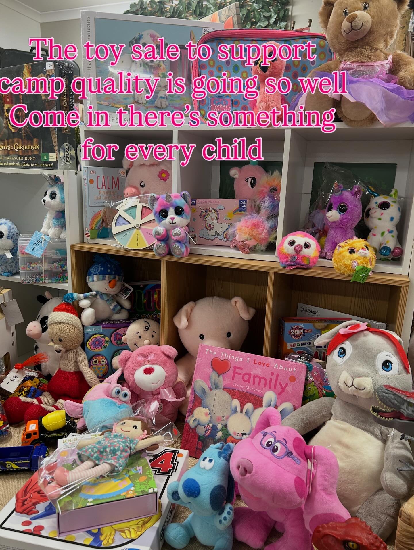 Toys, toys, toys supporting Camp quality 🎉🎉🎉