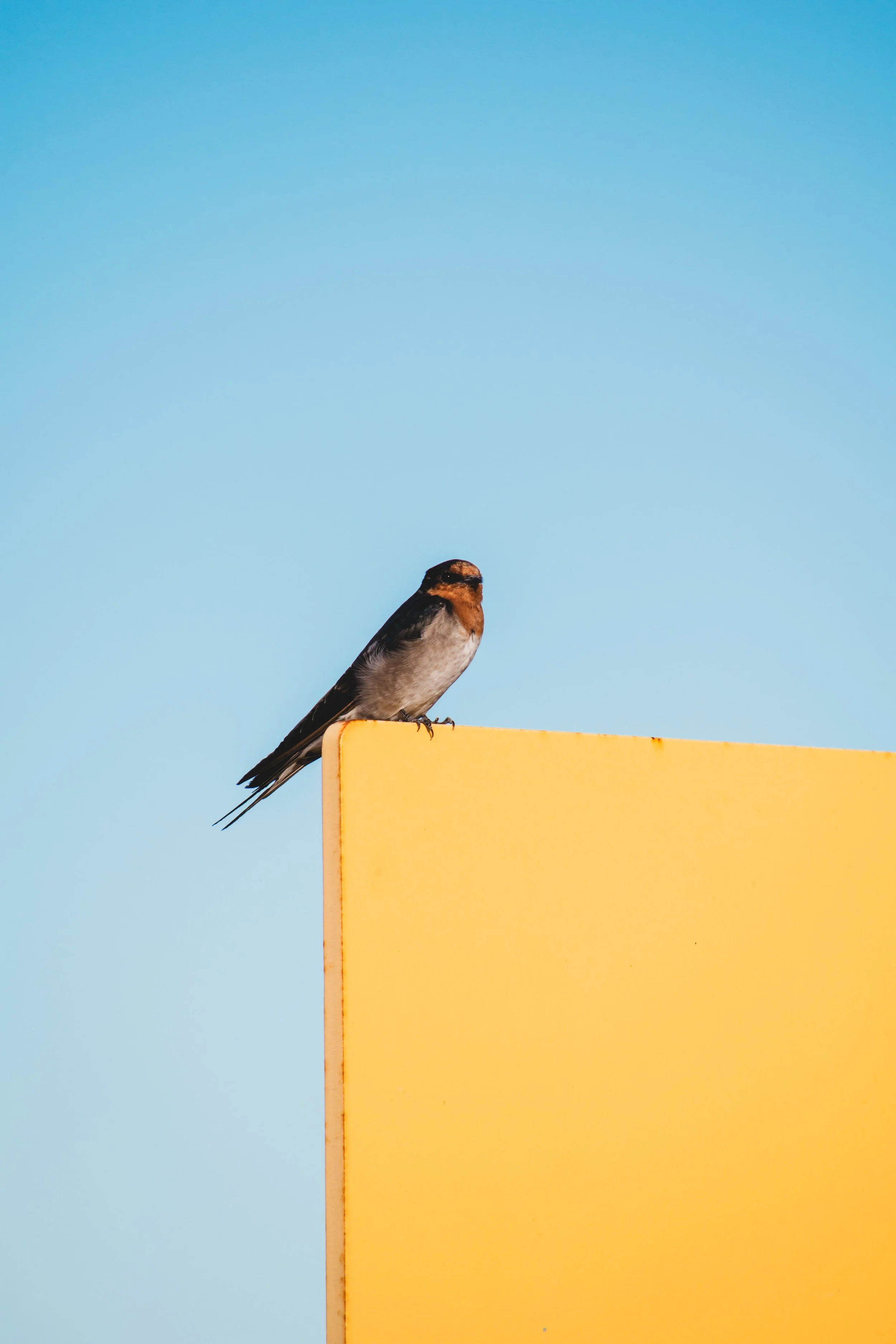 DSC_6601.jpg