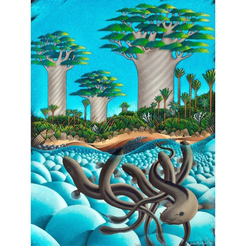 eels.jpg