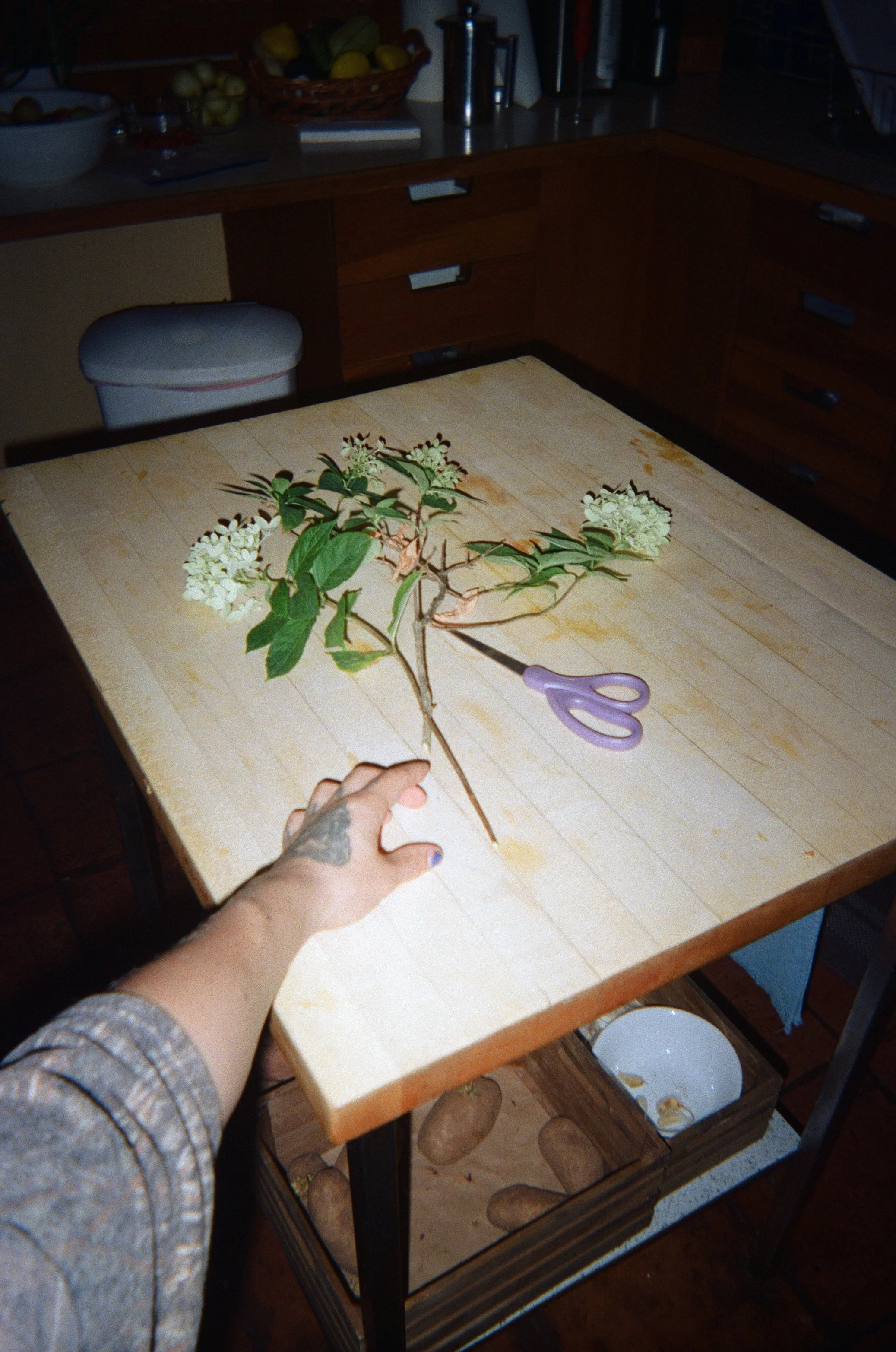 Foundational Perspectives   /   01