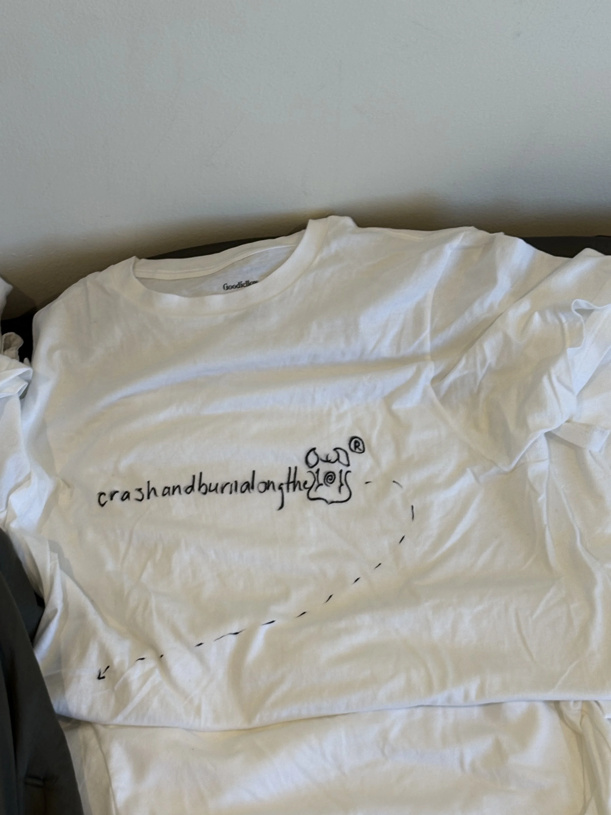 crash and burn along the 101 shirt 1.jpeg