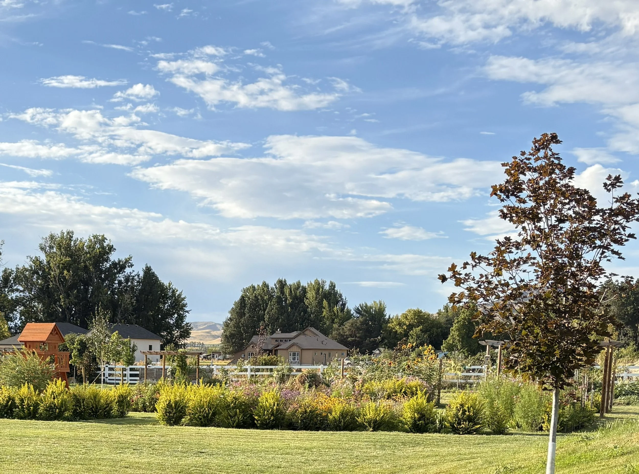 Landscapes in Boise, Idaho’s High-Desert Climate