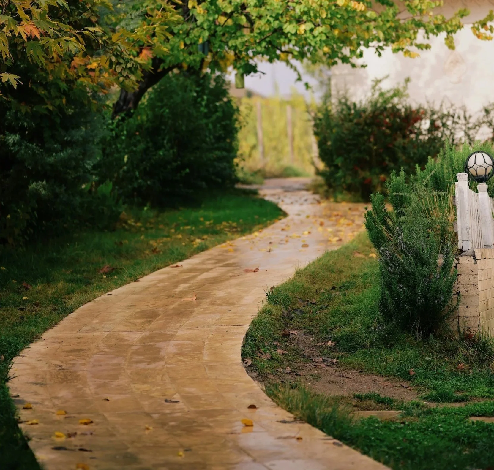 “Lines of Desire” - Pathways in Garden Design