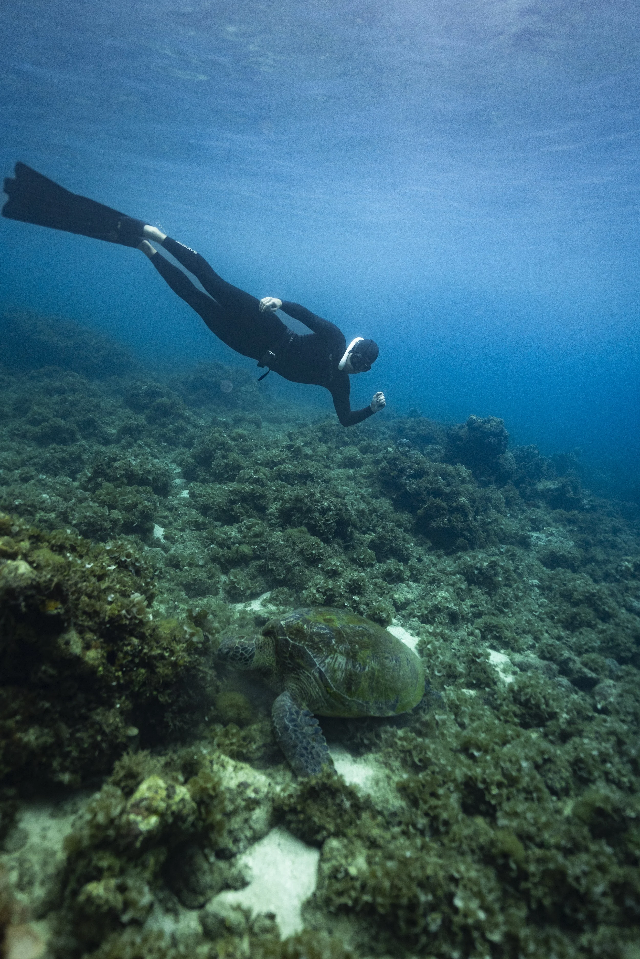 Freediver_SH-12.jpg