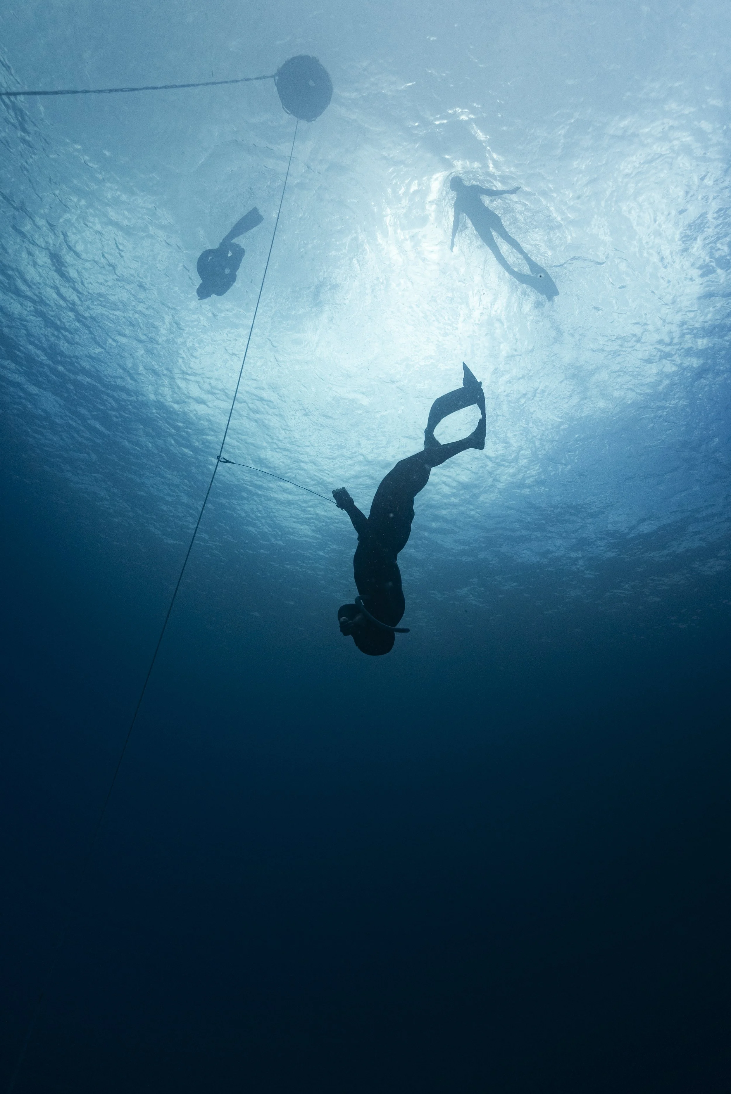 Freediver_SH-45.jpg