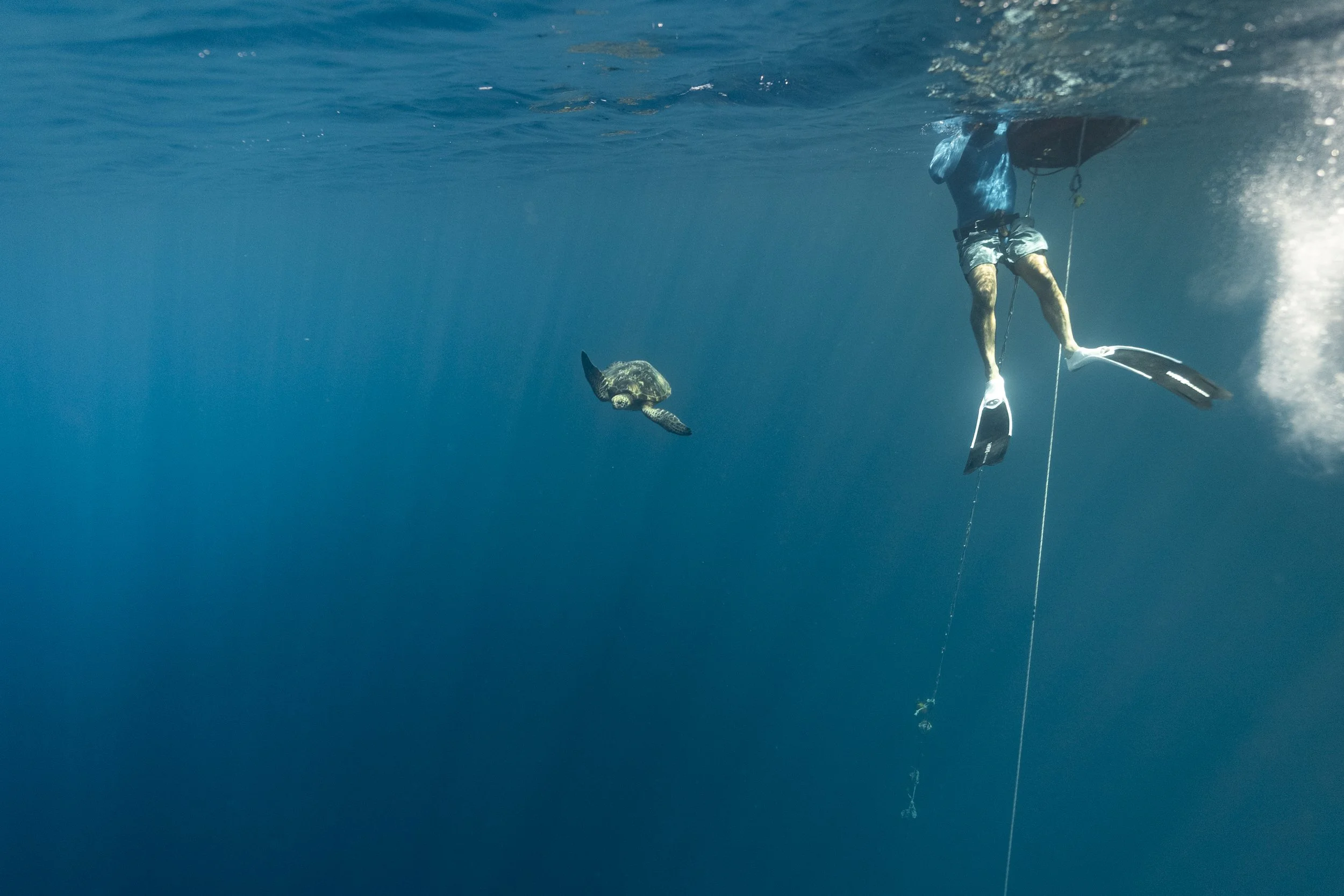 Freediver_SH-57.jpg