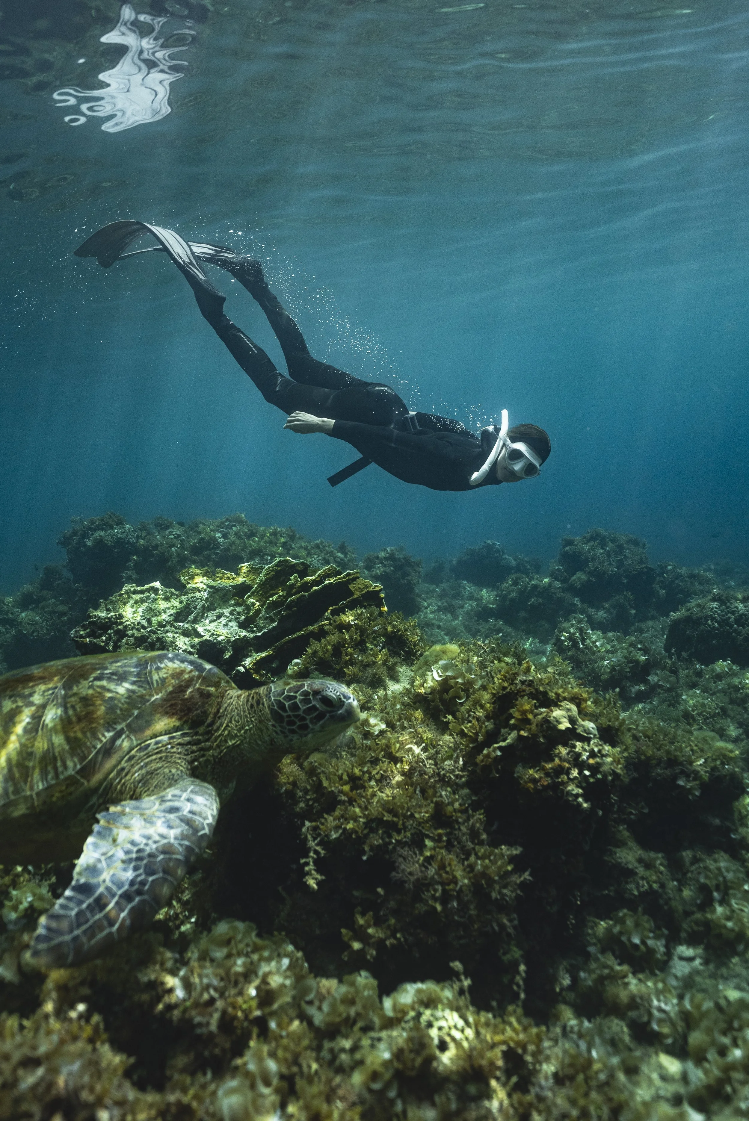Freediver_SH-11.jpg
