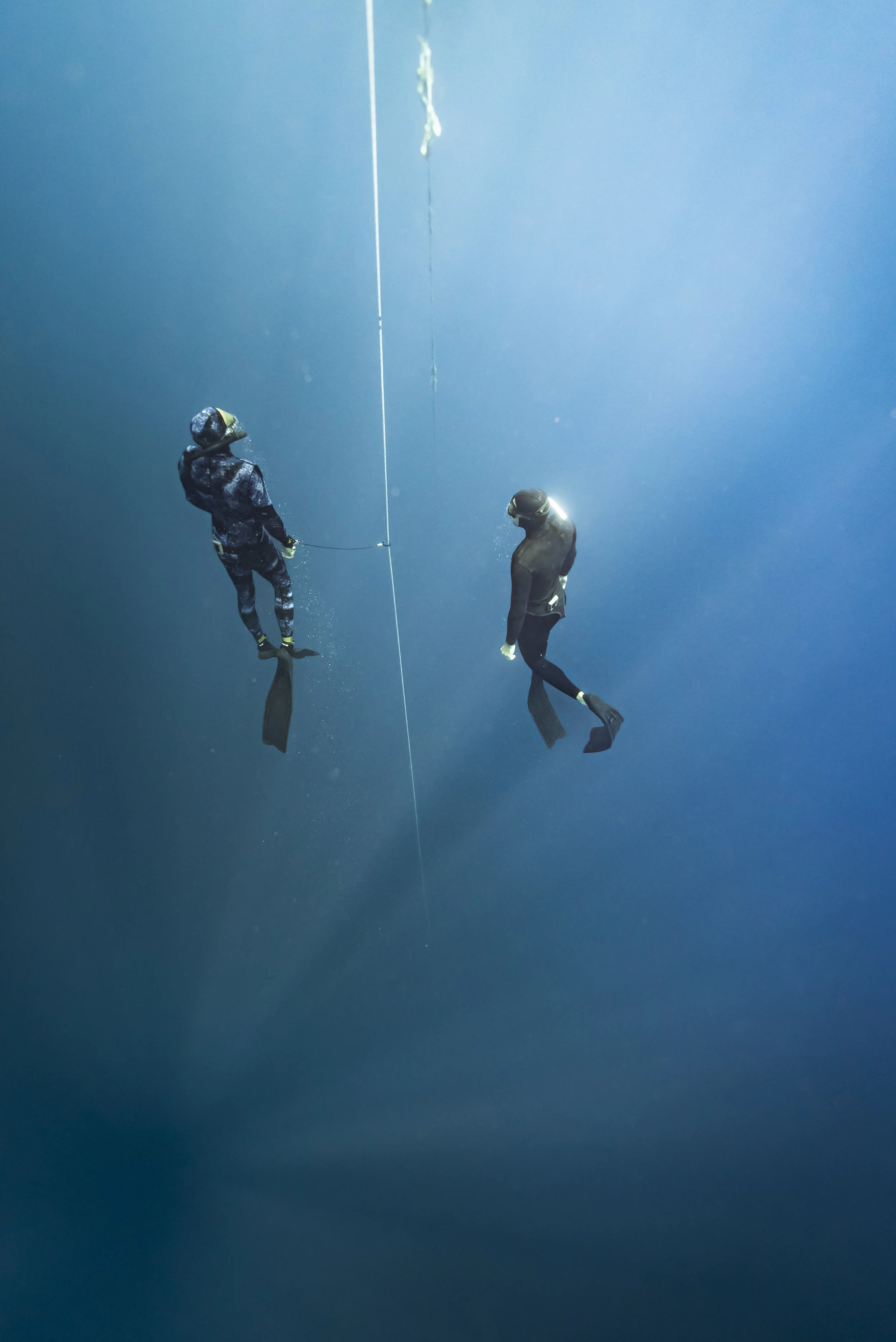 Freediver_SH-40.jpg