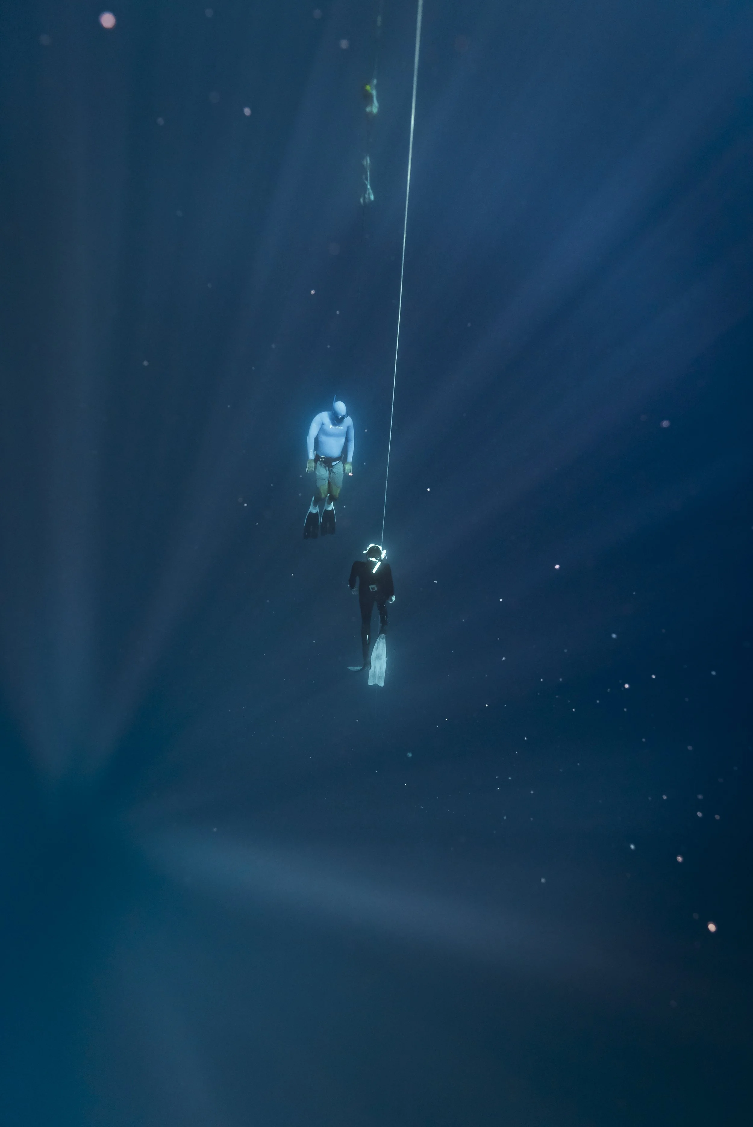 Freediver_SH-56.jpg
