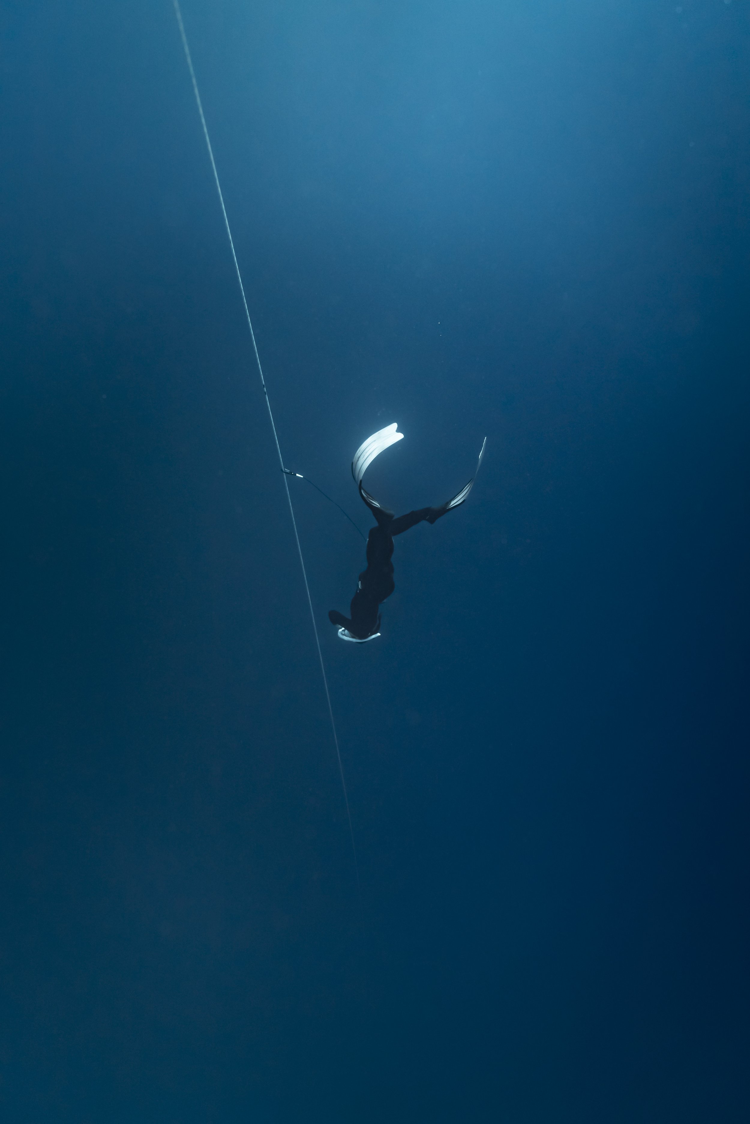 Freediver_SH-54.jpg
