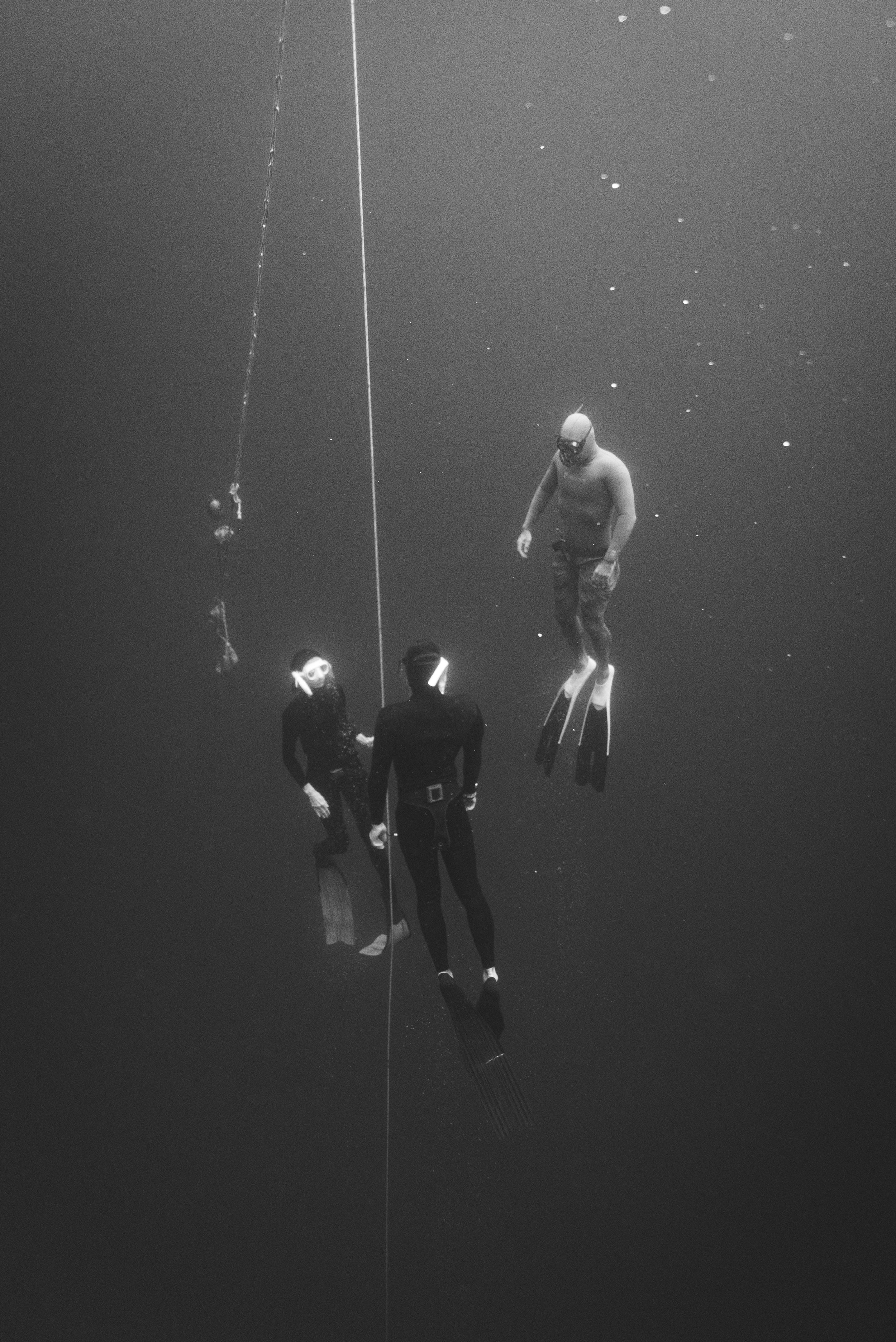 Freediver_SH-51.jpg