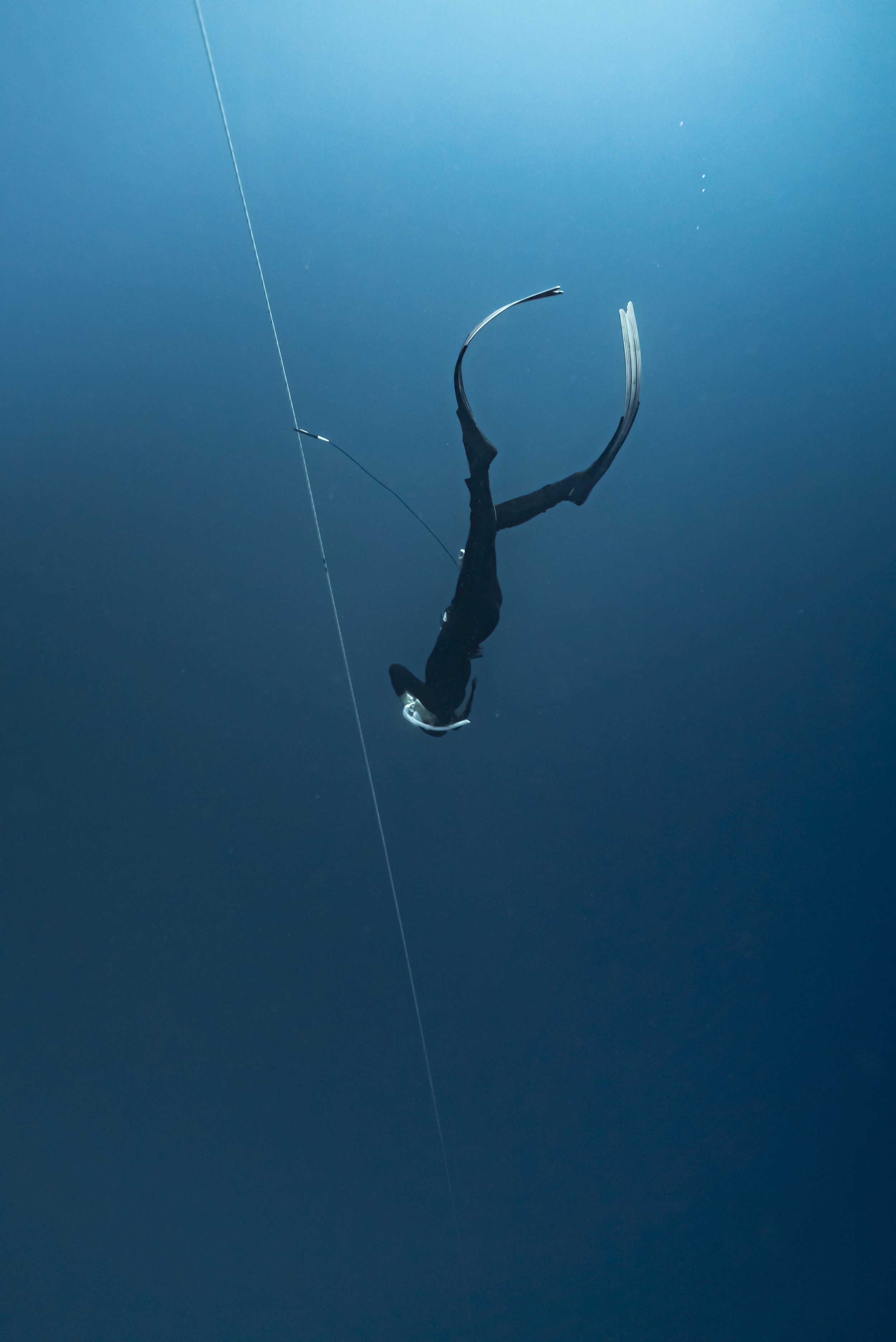Freediver_SH-53.jpg