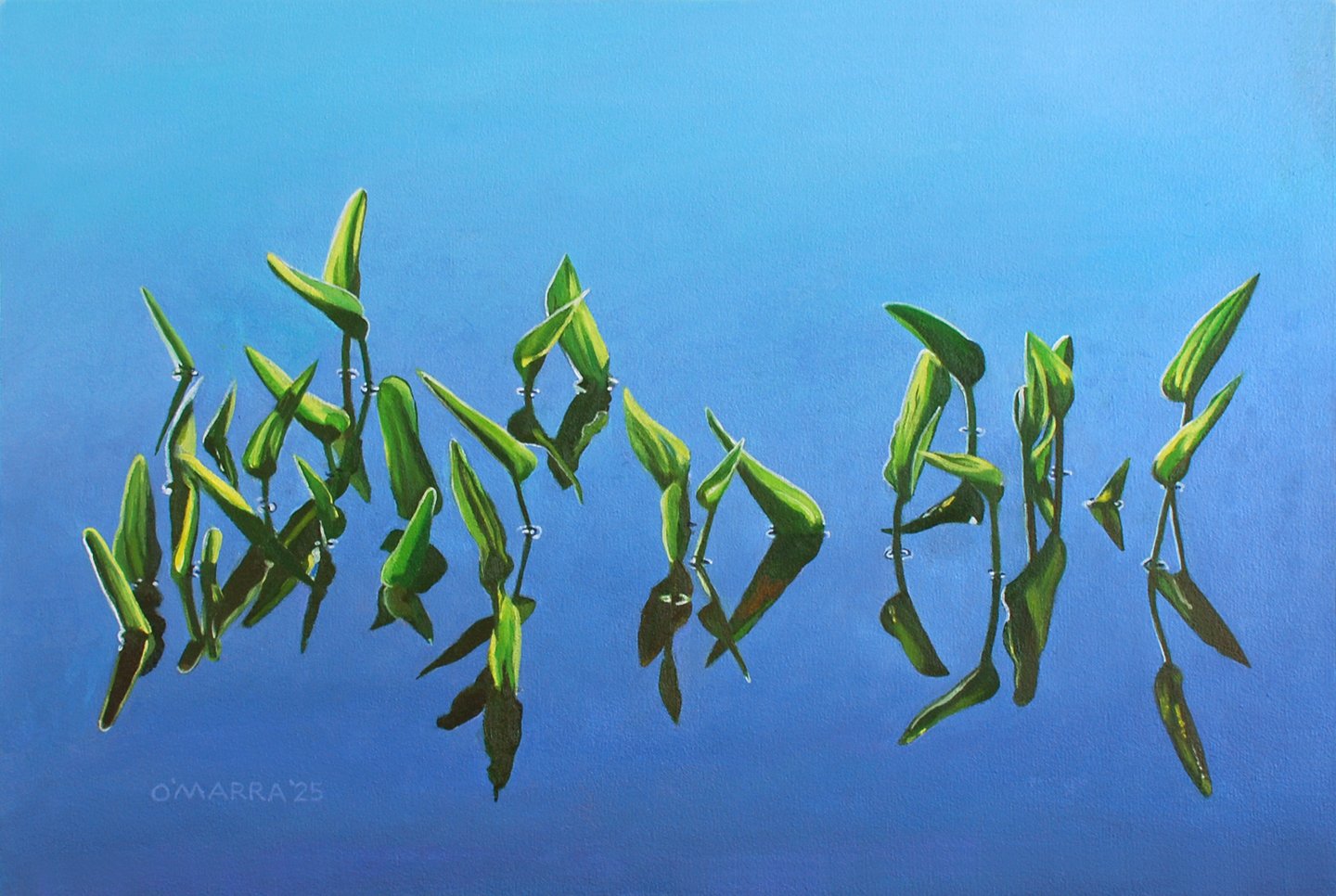 Pickerel Weed Congregation, 2025, oil on canvas, 16" x 22"
(Contact me about pricing)