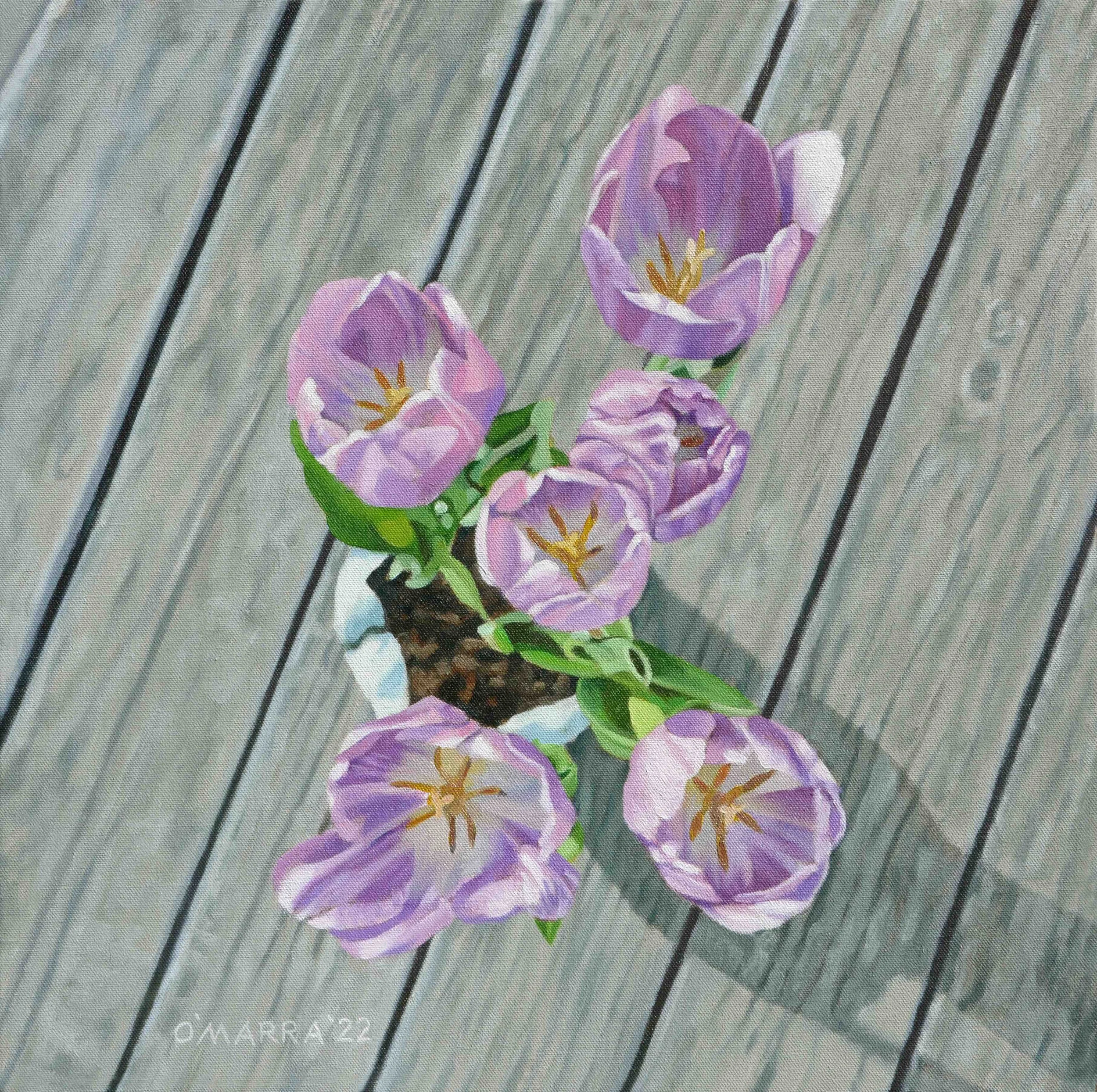 Tulips Still Life, oil on canvas, 21" x 21" 
(Contact me about pricing)