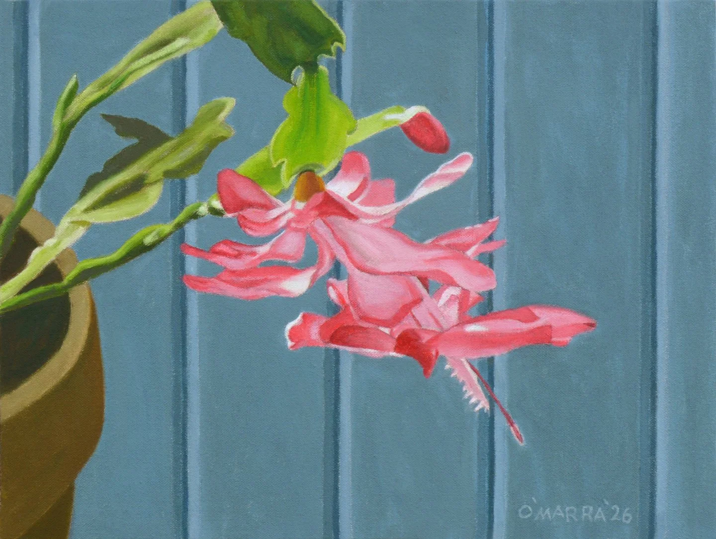  'Christmas Cactus, oil on canvas, 12" x 16", 2026 (Private collection)