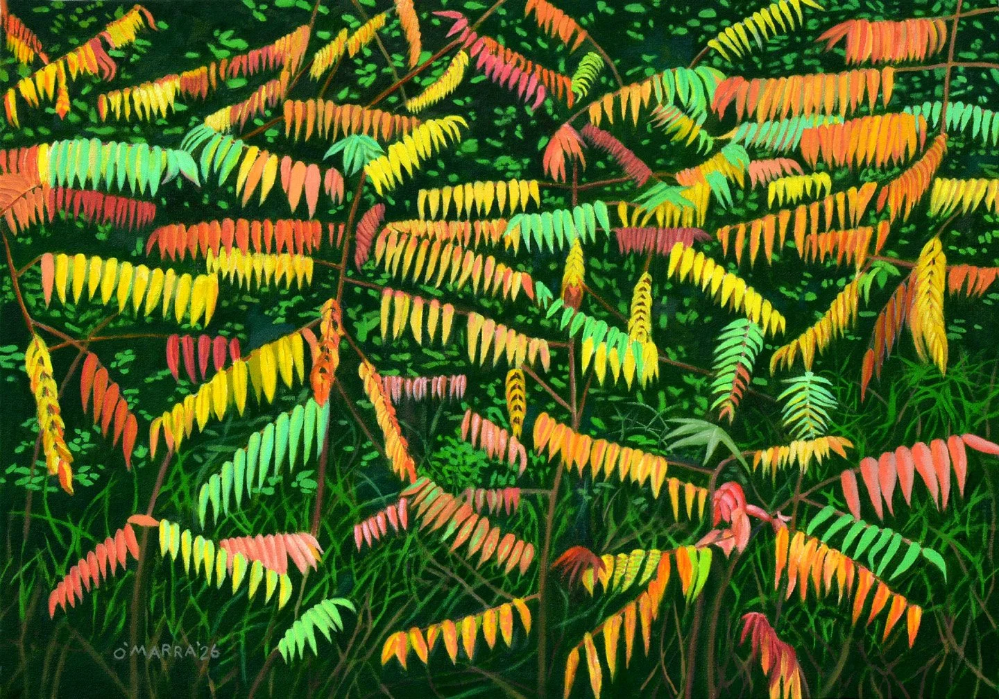  'Sumacs!', oil on canvas, 21" x 30", 2026 (Contact me about pricing.)