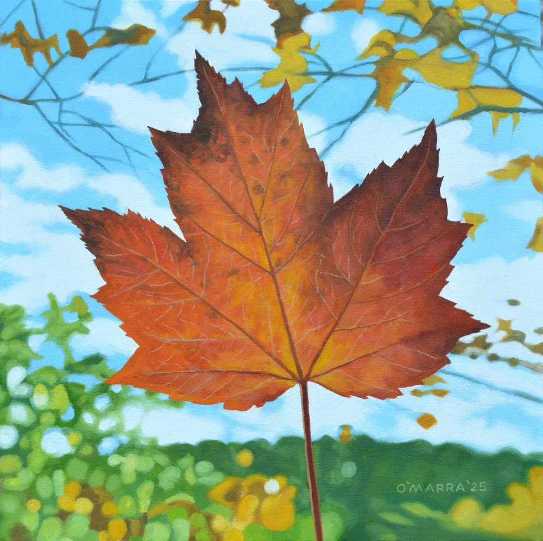 True North, 2025, oil on canvas, 18" x 18". (Contact me about pricing)