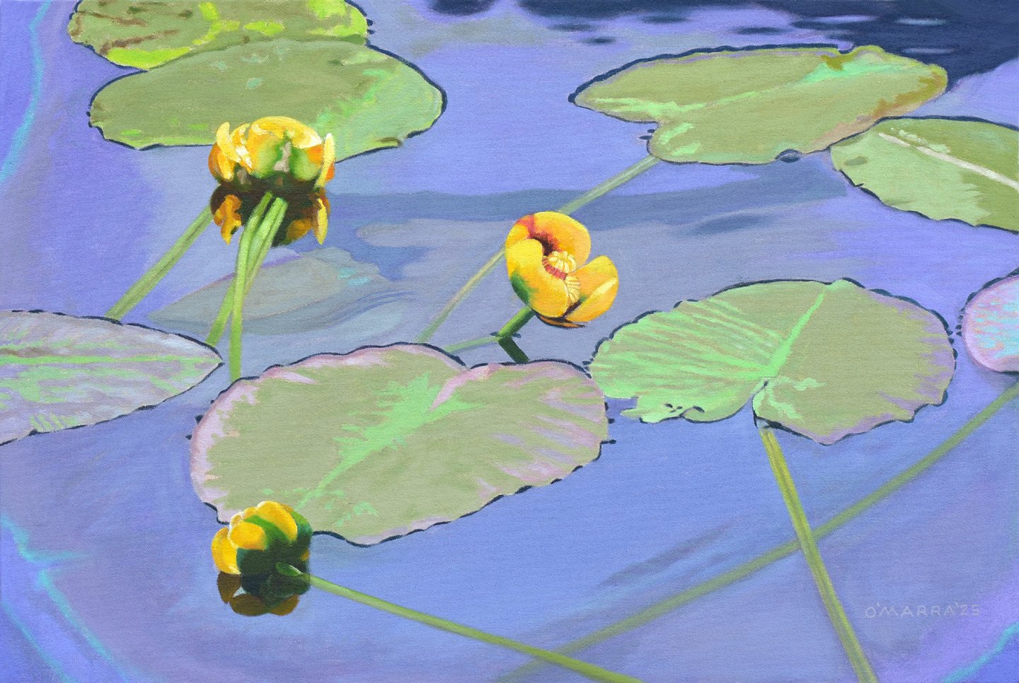'Lilies and Pads', oil on canvas. 16" x 24". (Contact me about pricing)