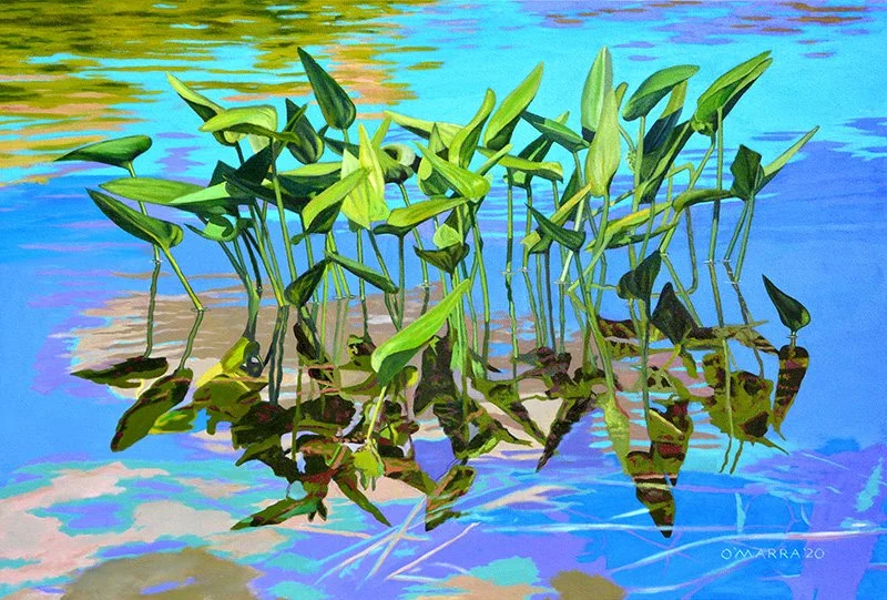  'Pickerel Weed Bed', oil on canvas, 27" x 40", 2020 (SOLD)