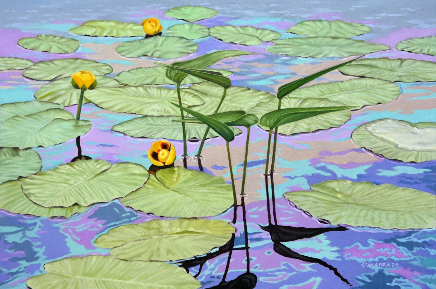 Lilies and Pads, 2025, oil on canvas, 16" x 24". (Contact me about pricing)