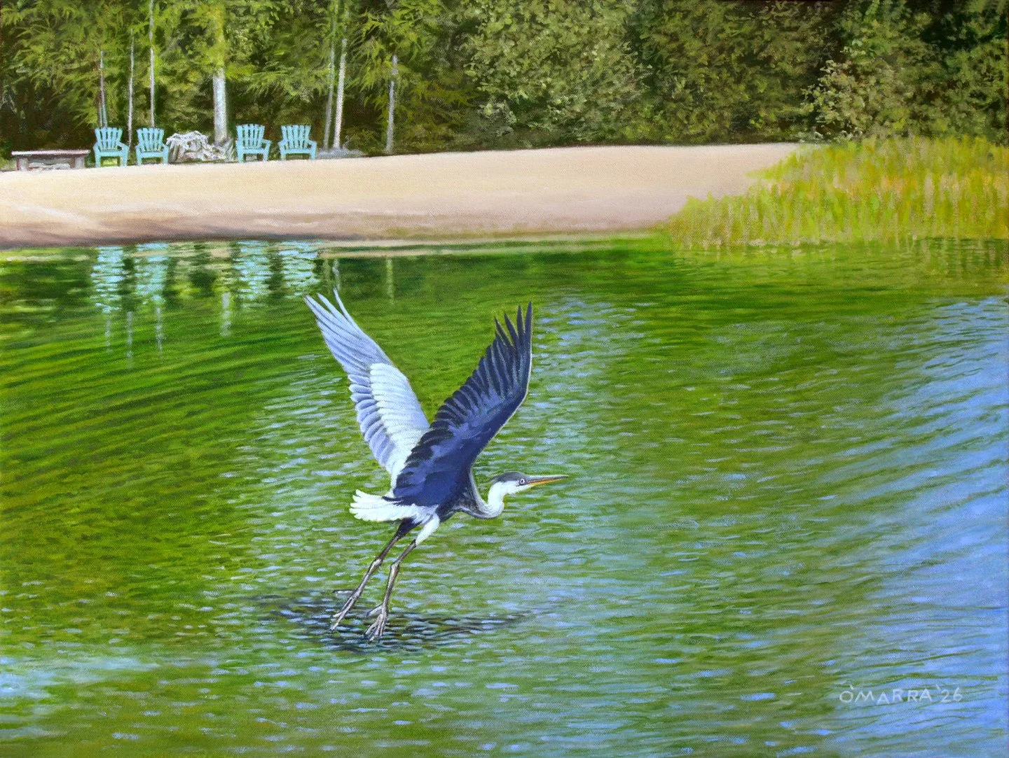  'Great Blue Heron', oil on canvas, 22" x 32", 2026 (Private collection--commissioned painting.)