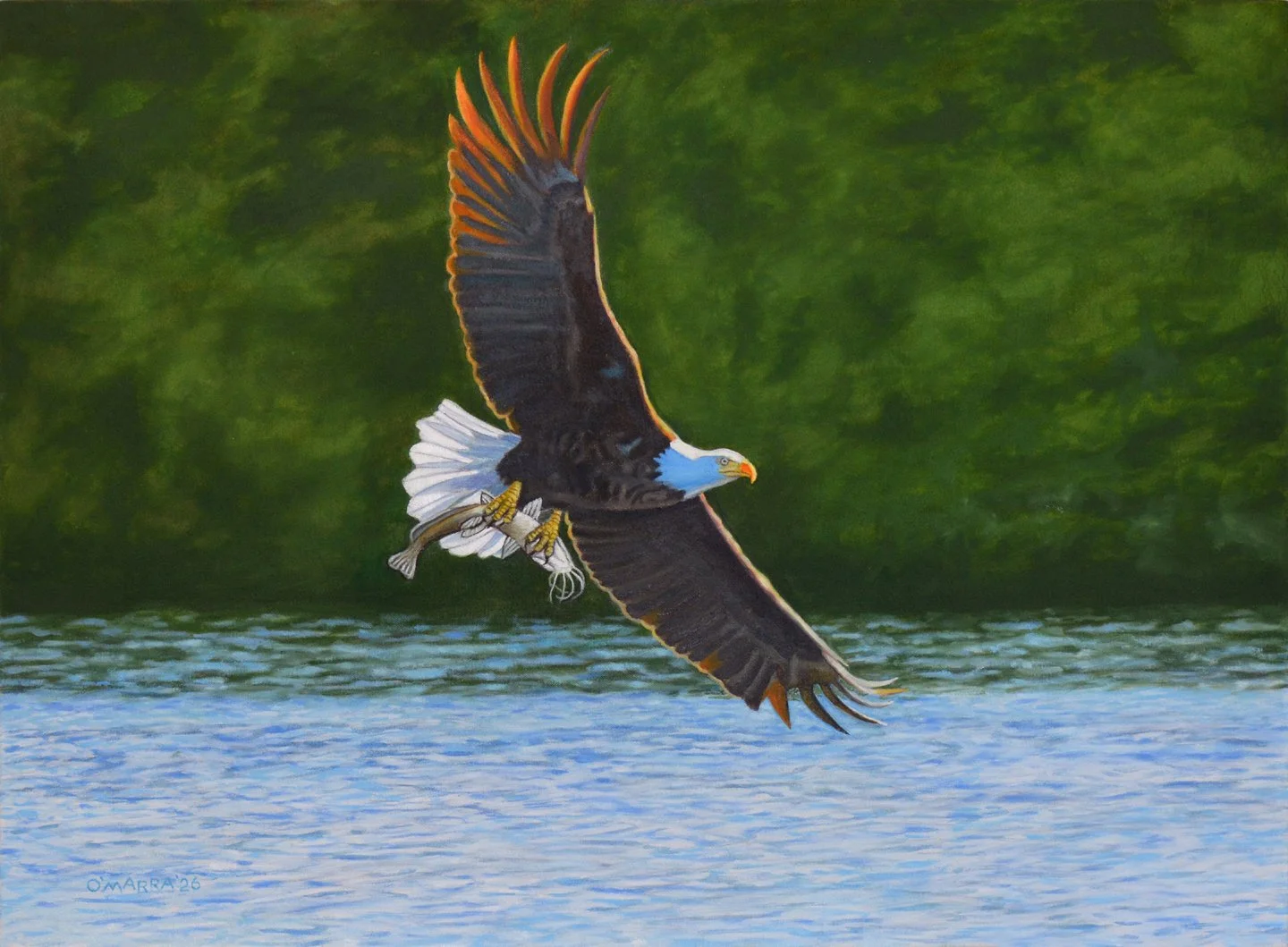 'Ellen's Eagle', oil on canvas, 22" x 30", 2026 (Contact me about pricing.) 