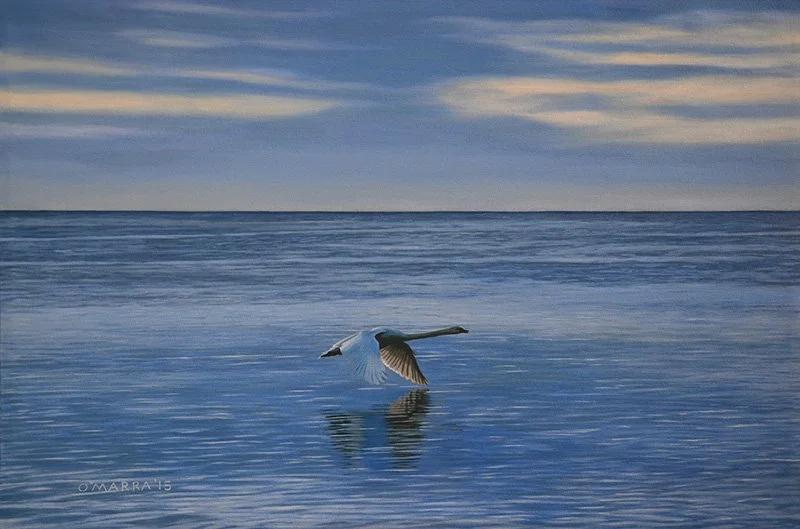 Evening Swan, 2015, oil on canvas, 28" x 40"
(Contact me about pricing)