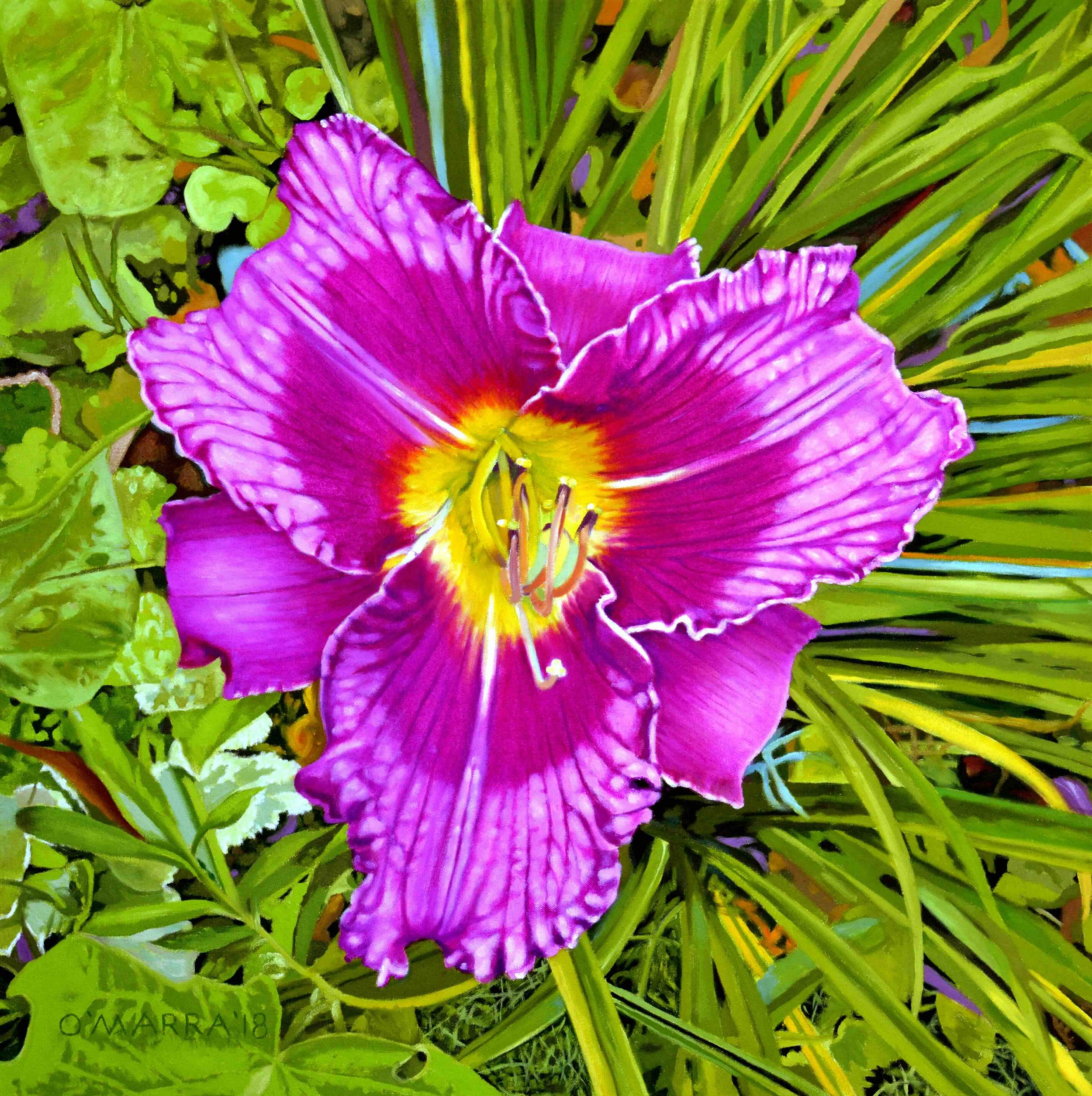 Purple Lily Perennial, 2018, oil on canvas, 27" x 27" 
(Contact me about pricing)
​