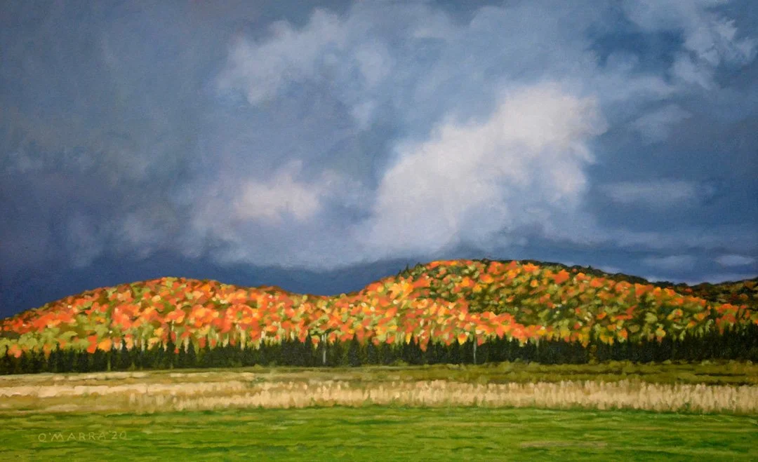  'Fall Colour, Maxwell Settlement', oil on canvas, 24" x 39", 2020 (Contact me about pricing.)