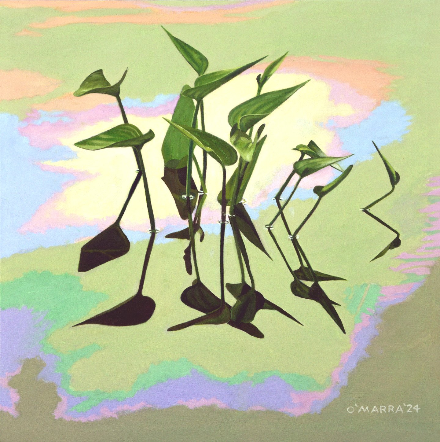 Pickerel Weed Conversations, 2024, oil on canvas, 24" x 24"
(Contact me about pricing)