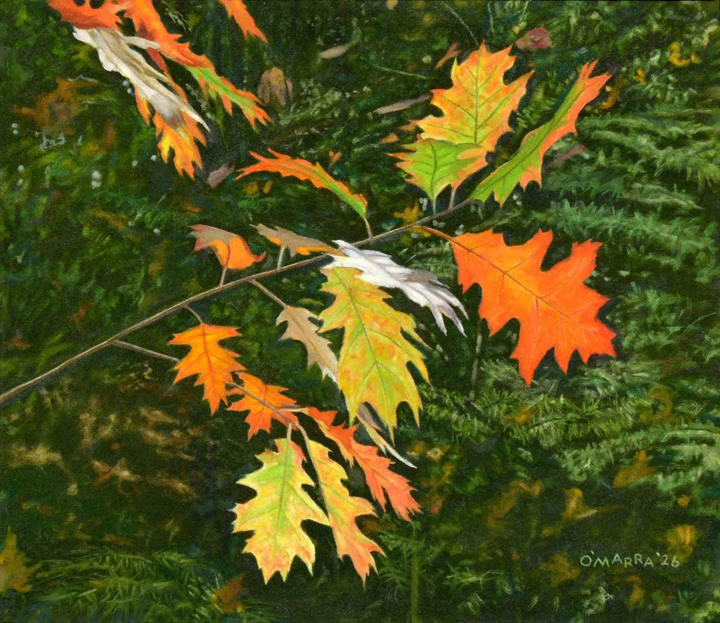 'Oak Leaves--Autumn', oil on canvas, 19 x 22", 2026 (Contact me about pricing.)