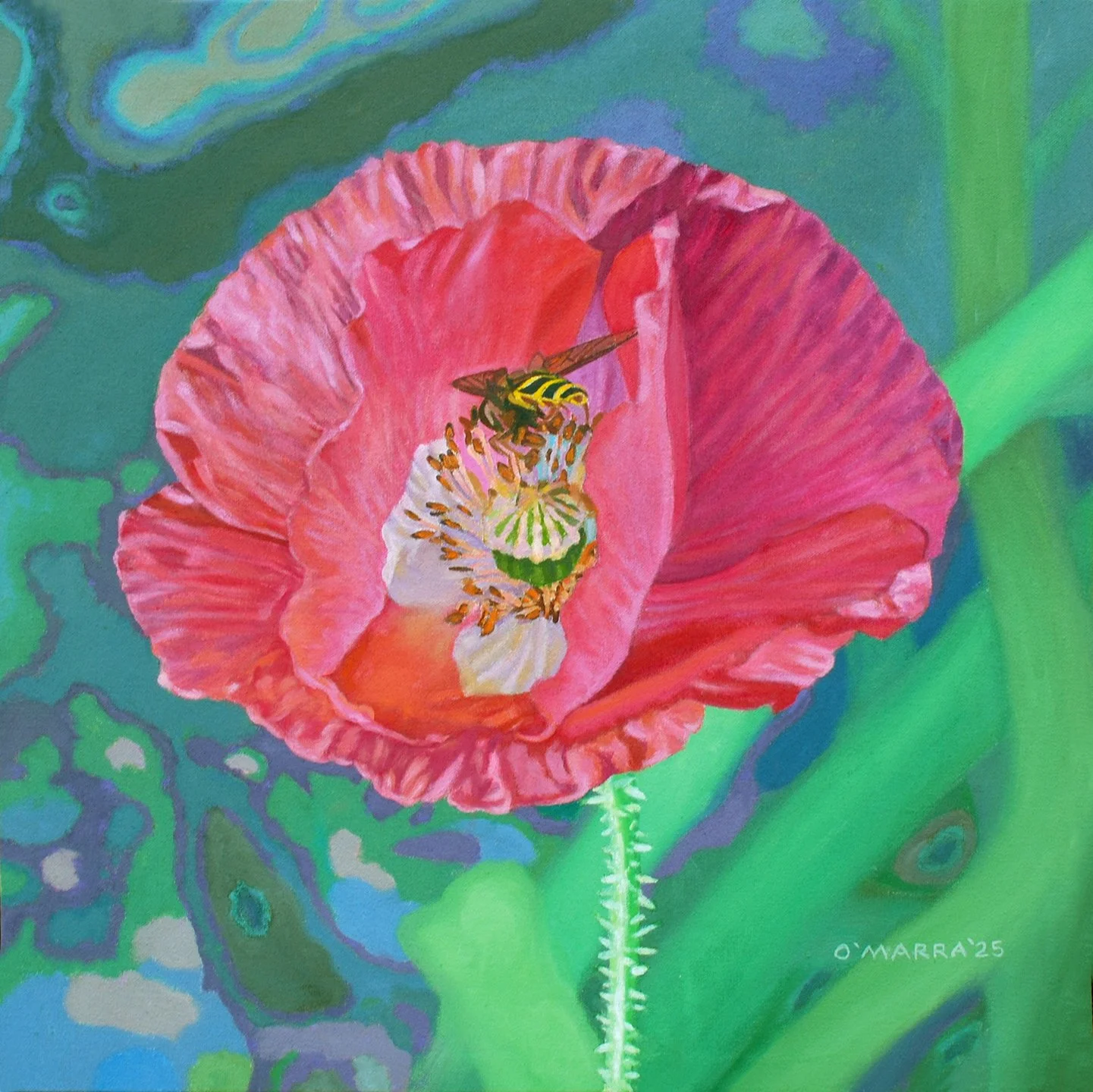 Pink Poppy Bee Visit, 2025, oil on canvas, 20" x 20"
(Contact me about pricing)