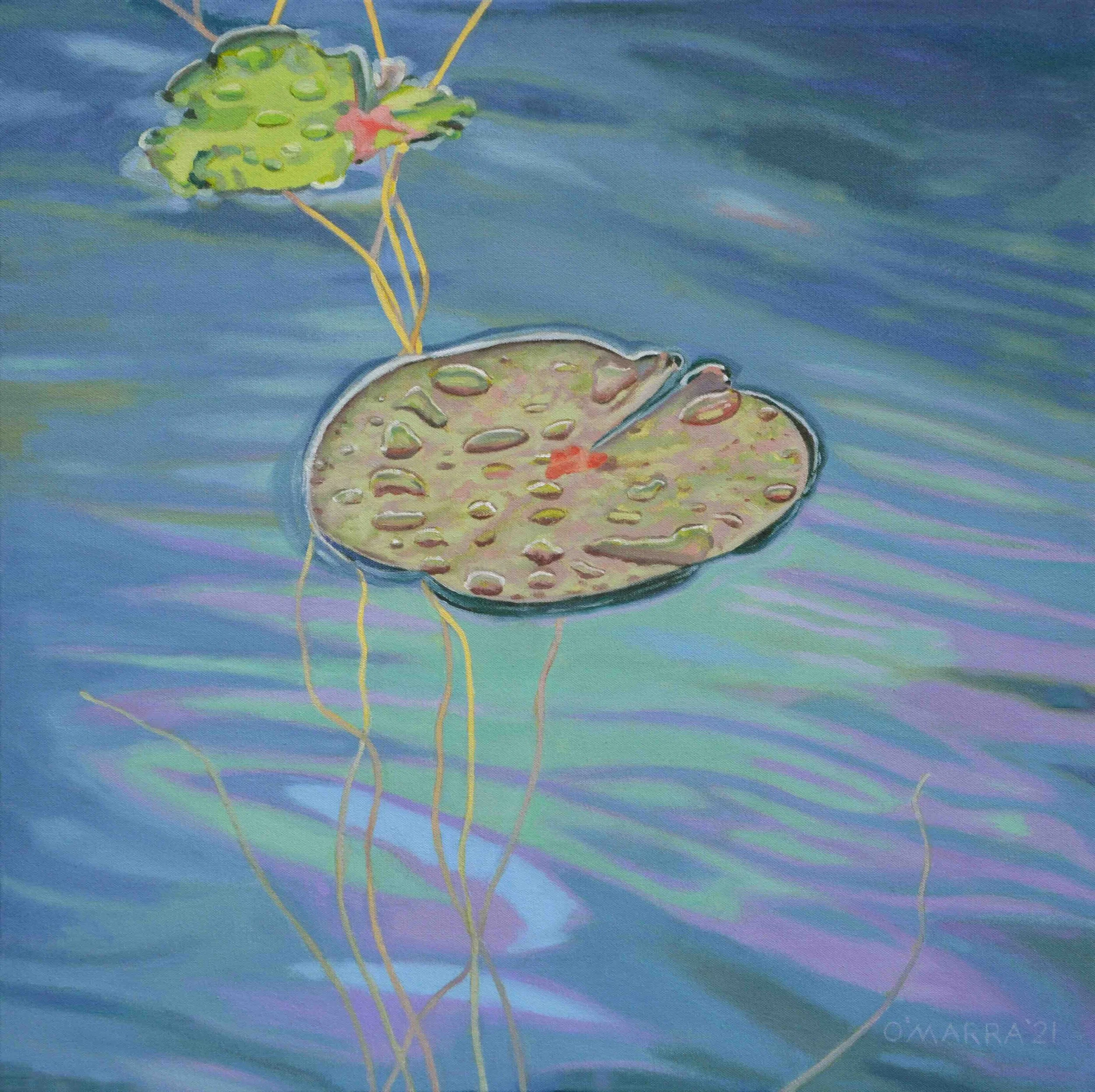 Lily Pad Still Life, oil on canvas, 22" x 22". (Contact me about pricing)