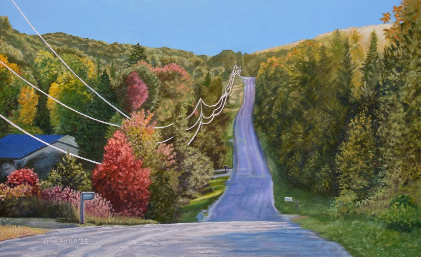 'Maxwell Settlement Road Looking West', oil on canvas, 20" x 33" (Contact me about pricing.)