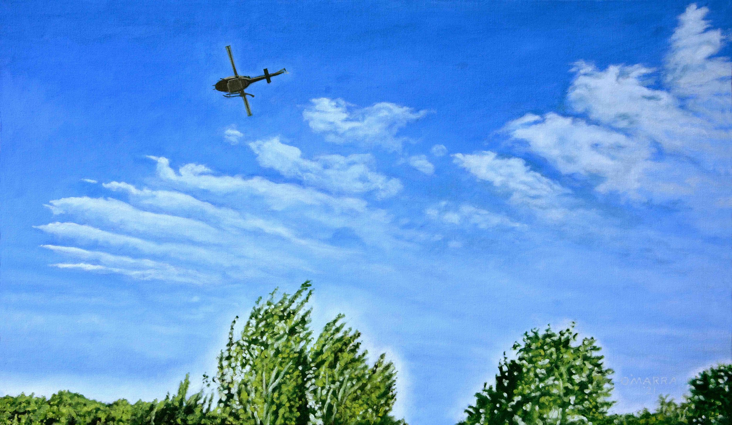 Flypast​, oil on canvas, 21" x 36"
(Contact me about pricing)