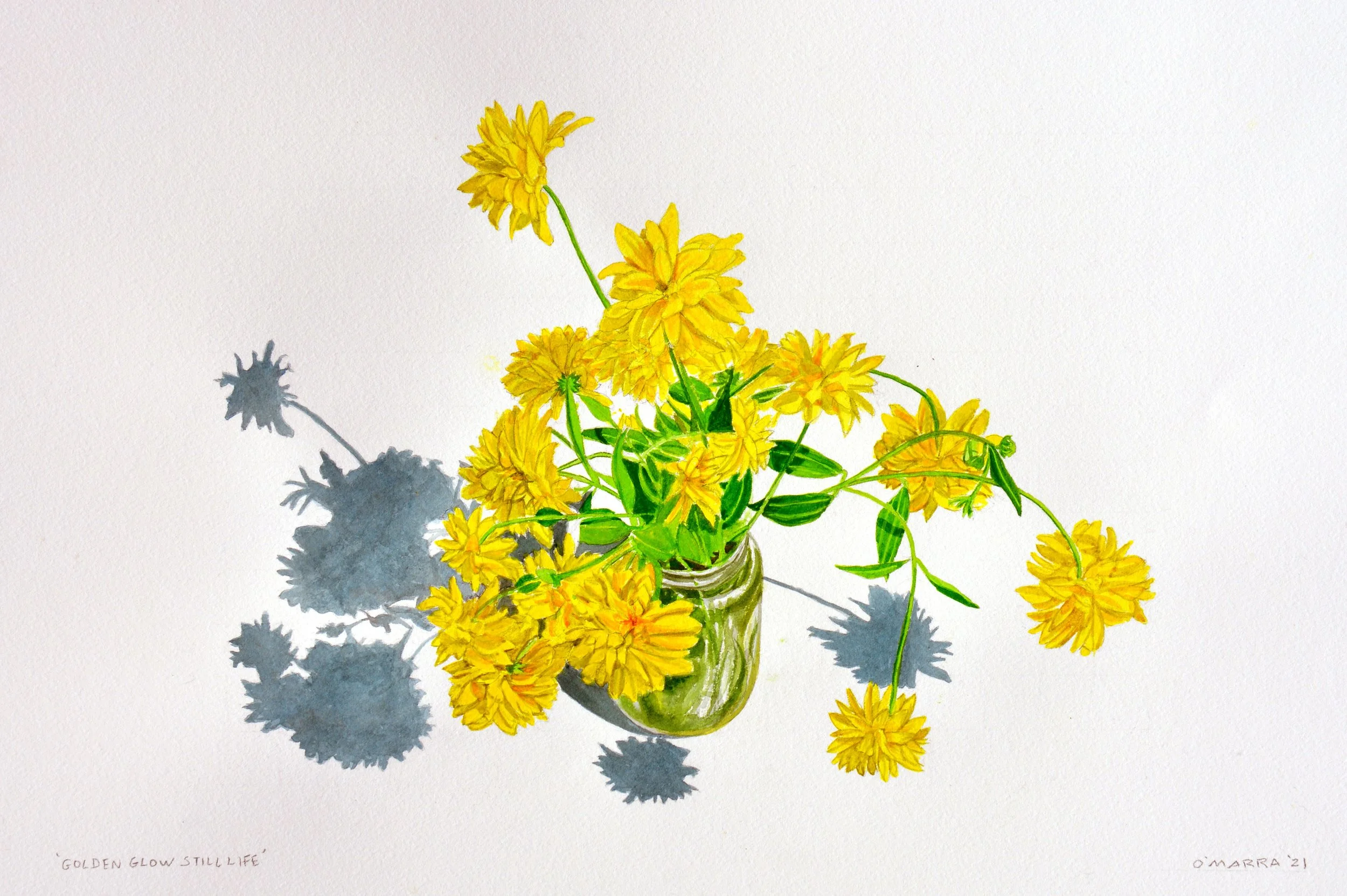 Golden Glow Still Life, watercolour on watercolour paper, 12.25" x  18.75 
(Contact me about pricing)
