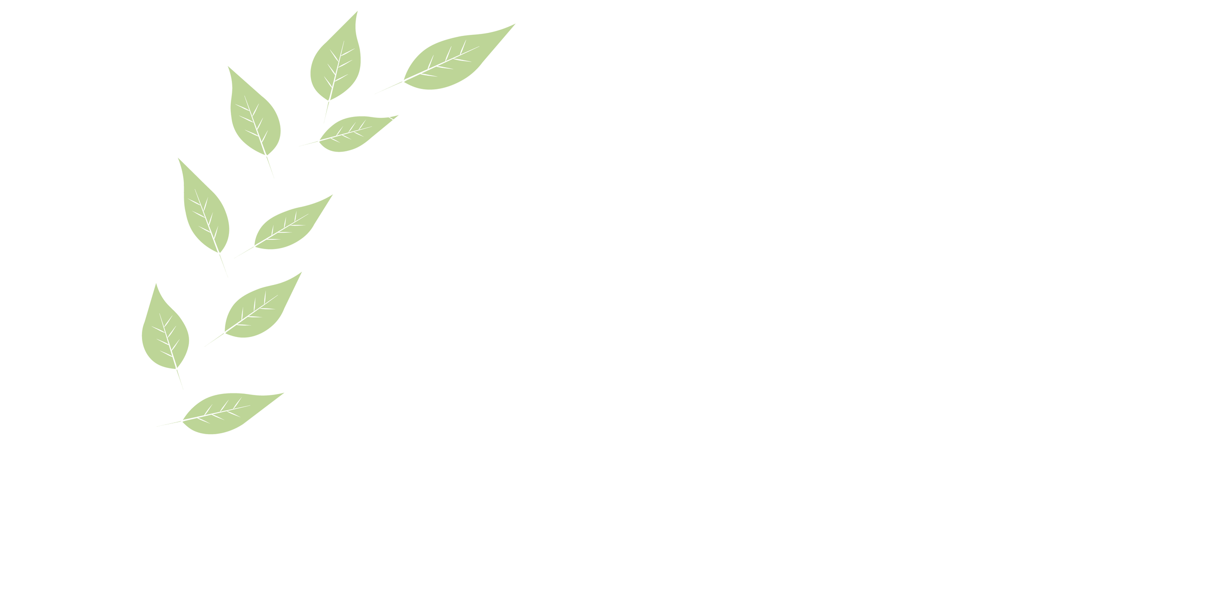 Sochi Health and Wellness logo – integrative psychiatry services in Washington State