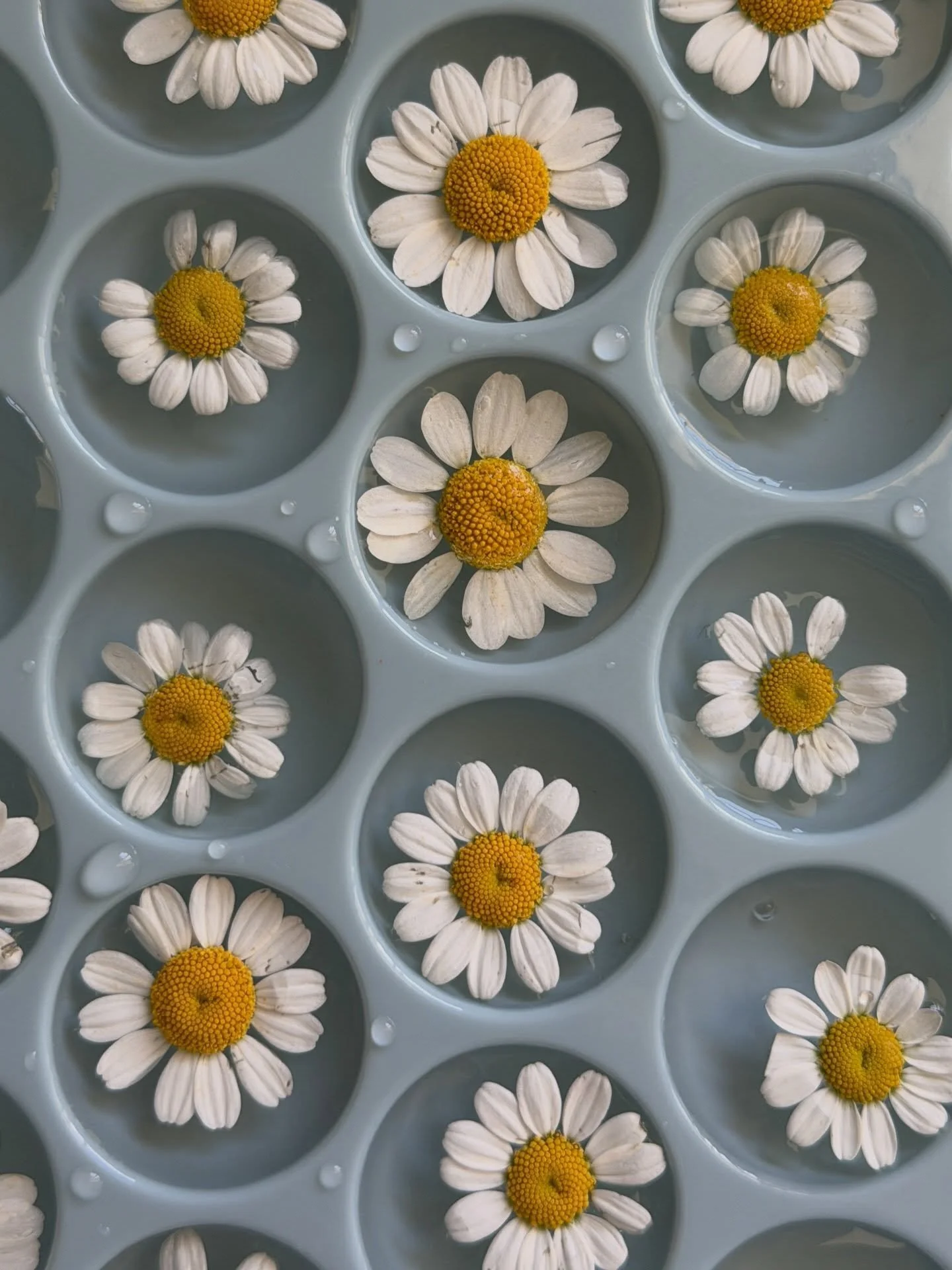 Colors + textures of spring 🌼🍊🍋&zwj;🟩

#myphx #artofnoticing #theslowlife