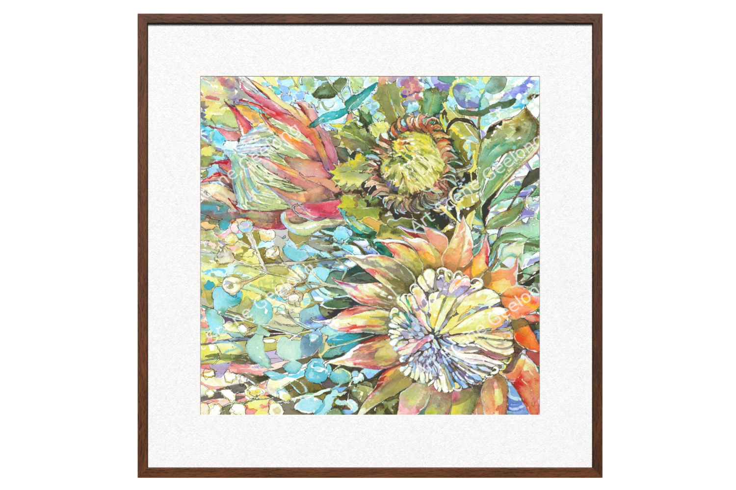 Proteaceae - Annie Finkelde