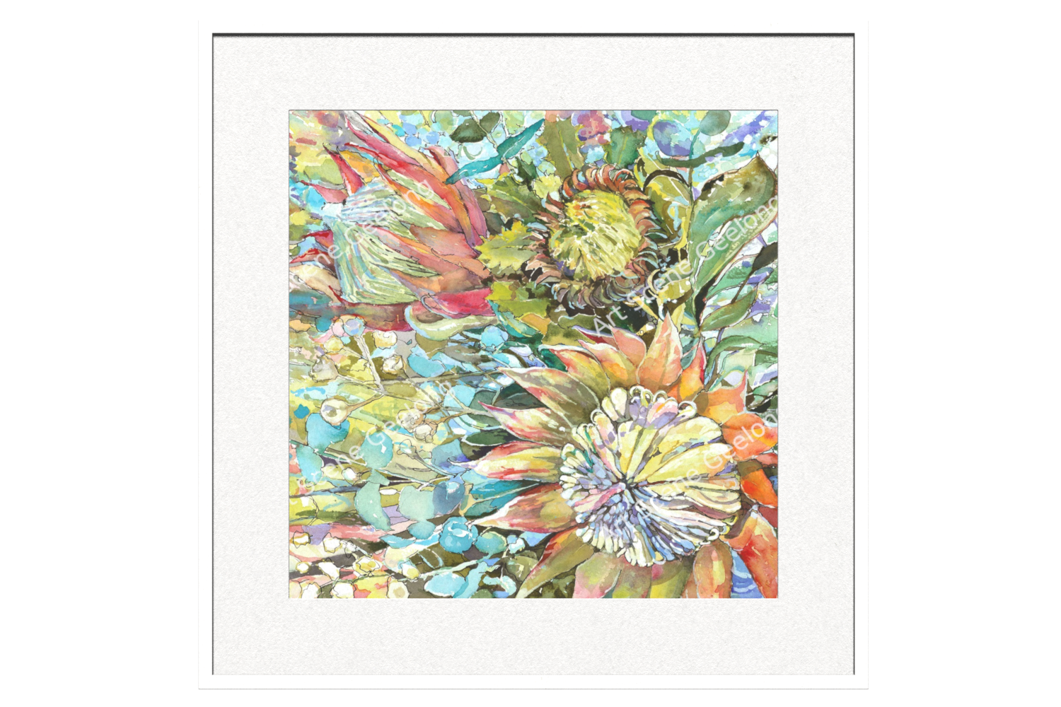 Proteaceae - Annie Finkelde