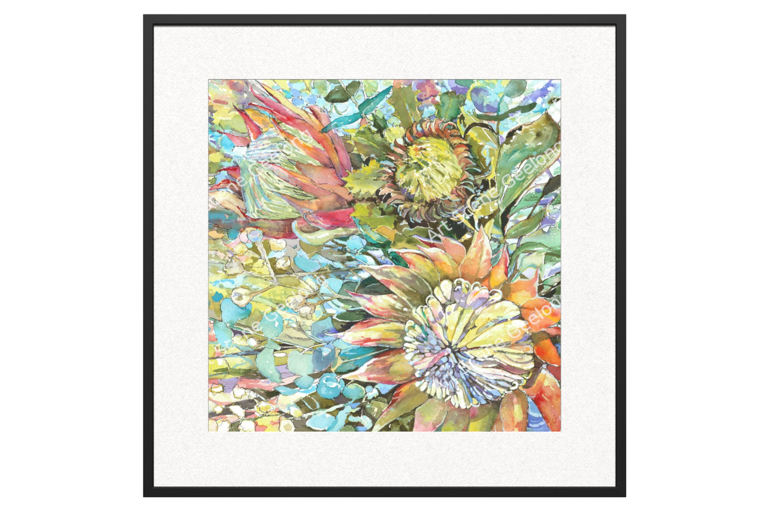 Proteaceae - Annie Finkelde