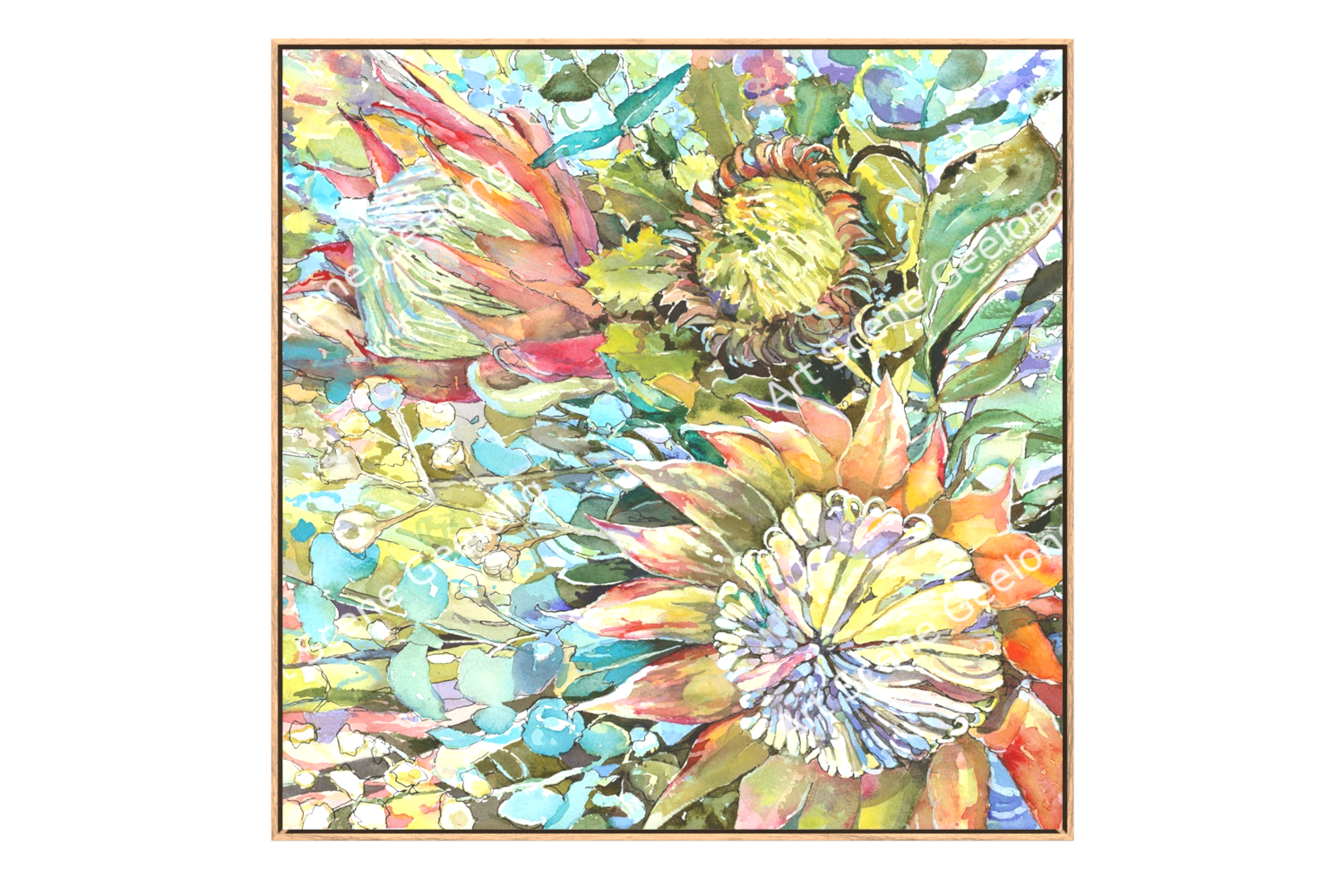 Proteaceae - Annie Finkelde