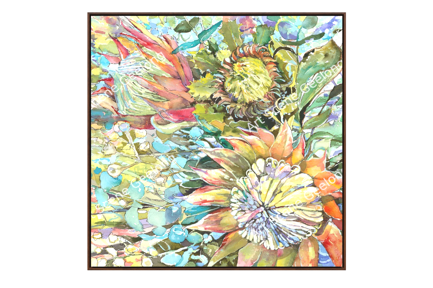 Proteaceae - Annie Finkelde